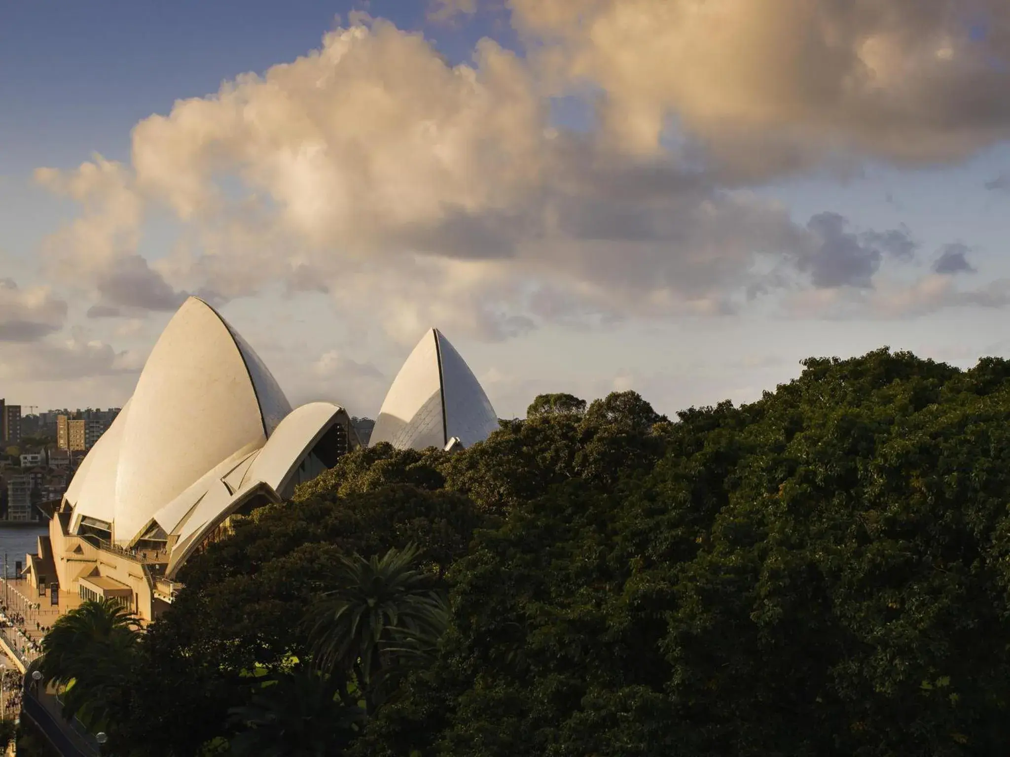 Bedroom in Pullman Quay Grand Sydney Harbour Bedroom in Pullman Quay Grand Sydney Harbour