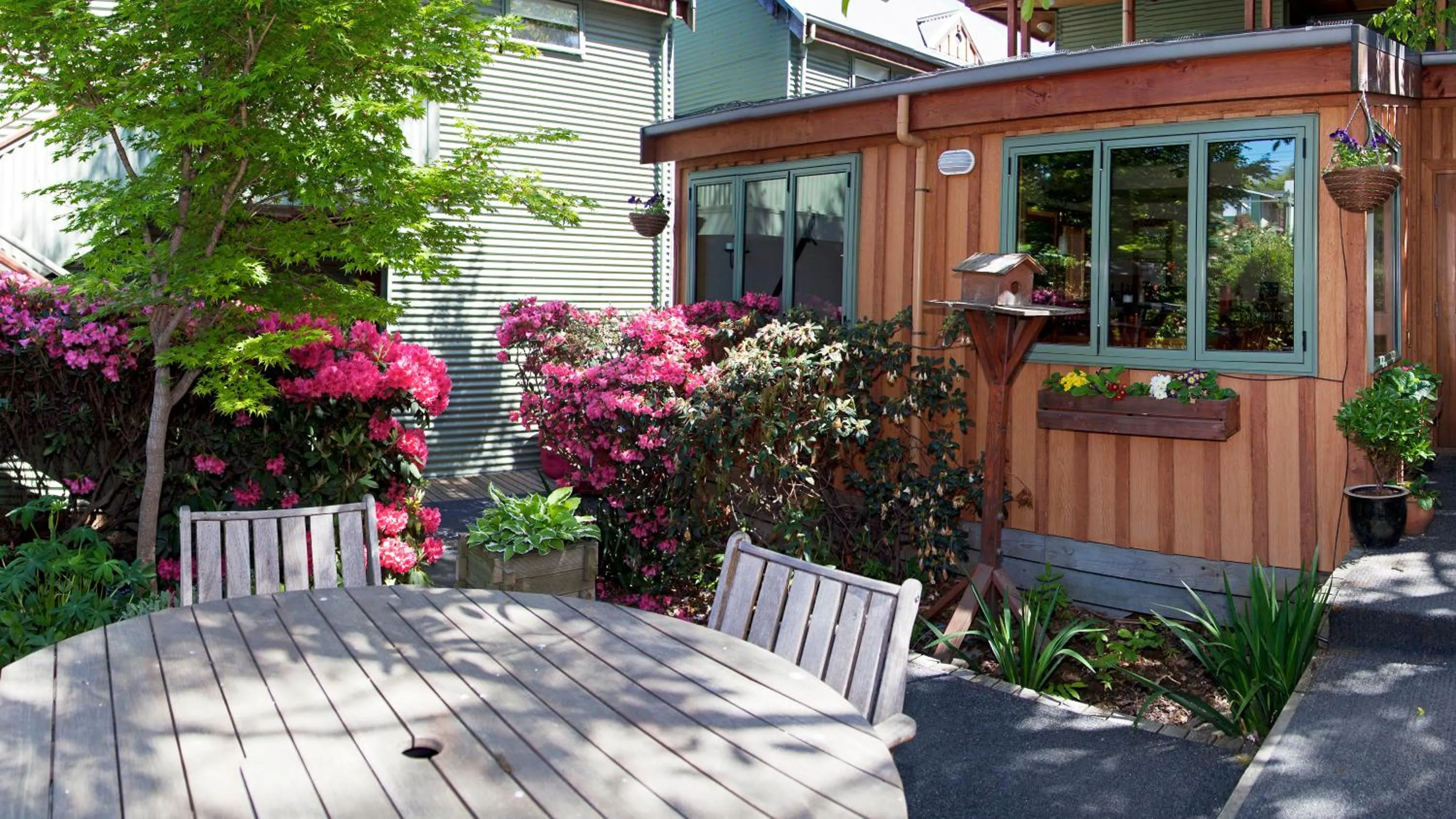 Spring in Te Wanaka Lodge