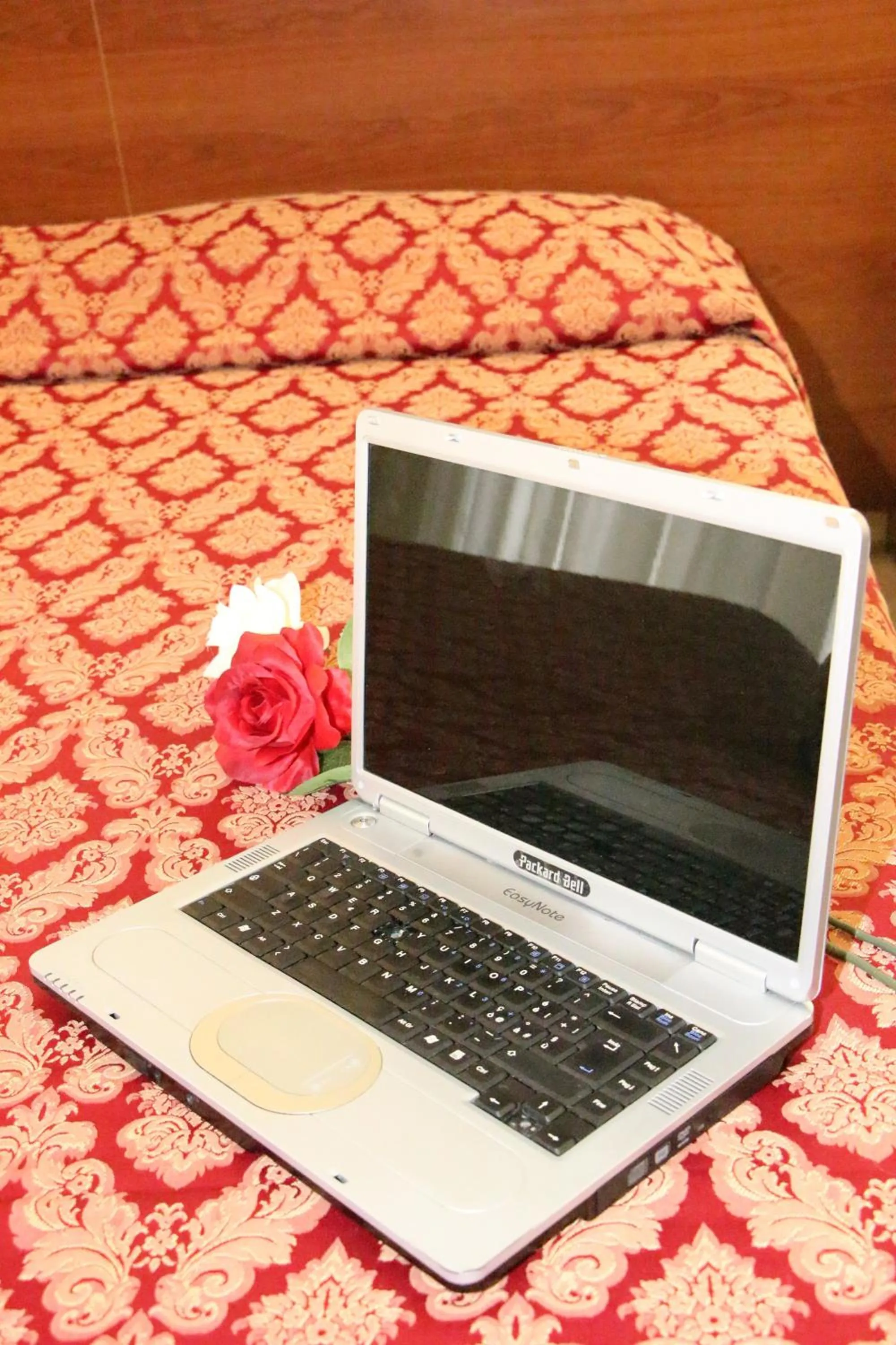 Decorative detail in Guest House Galaxy