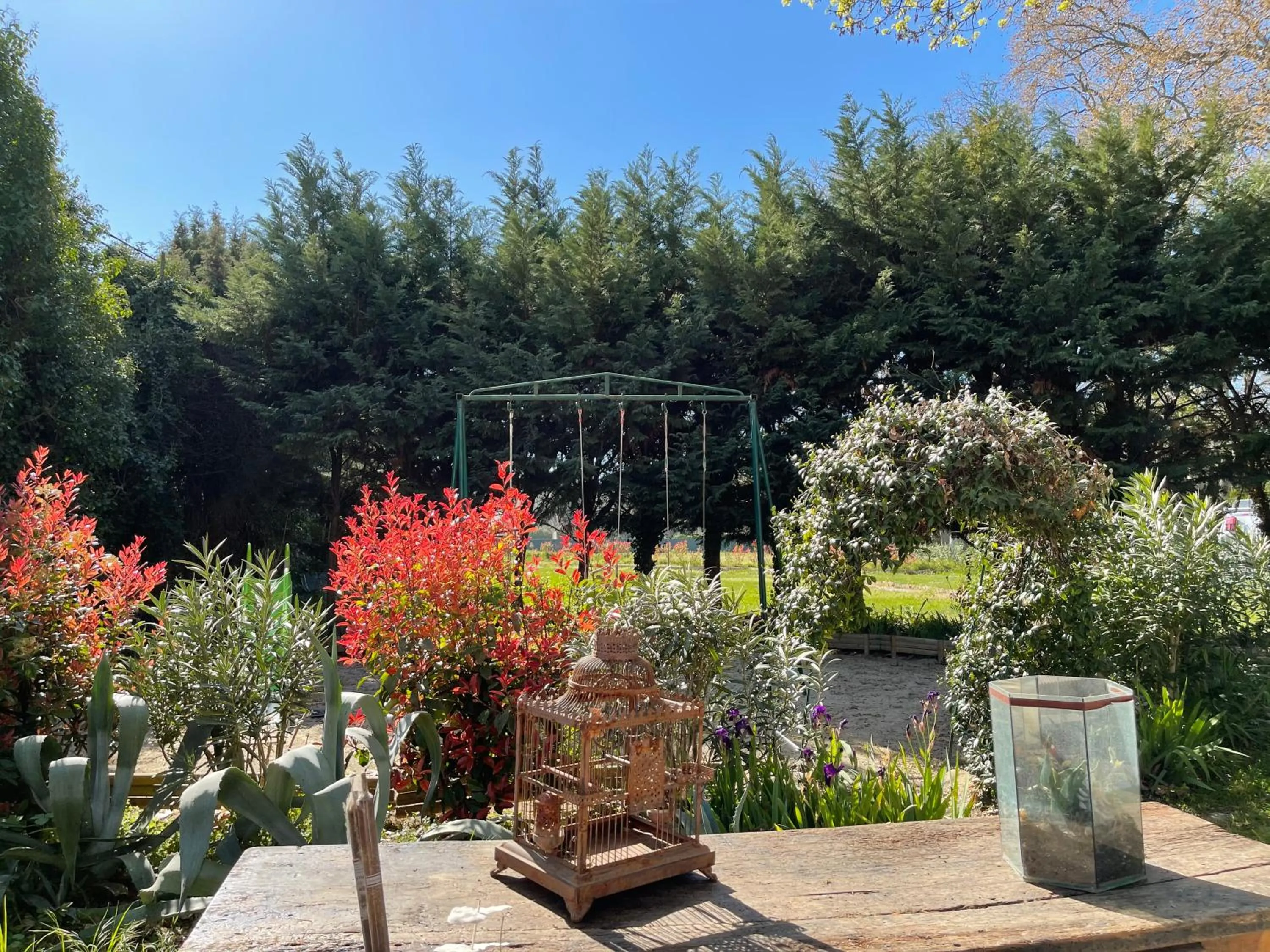 Spring in Hotel Mas De Galoffre