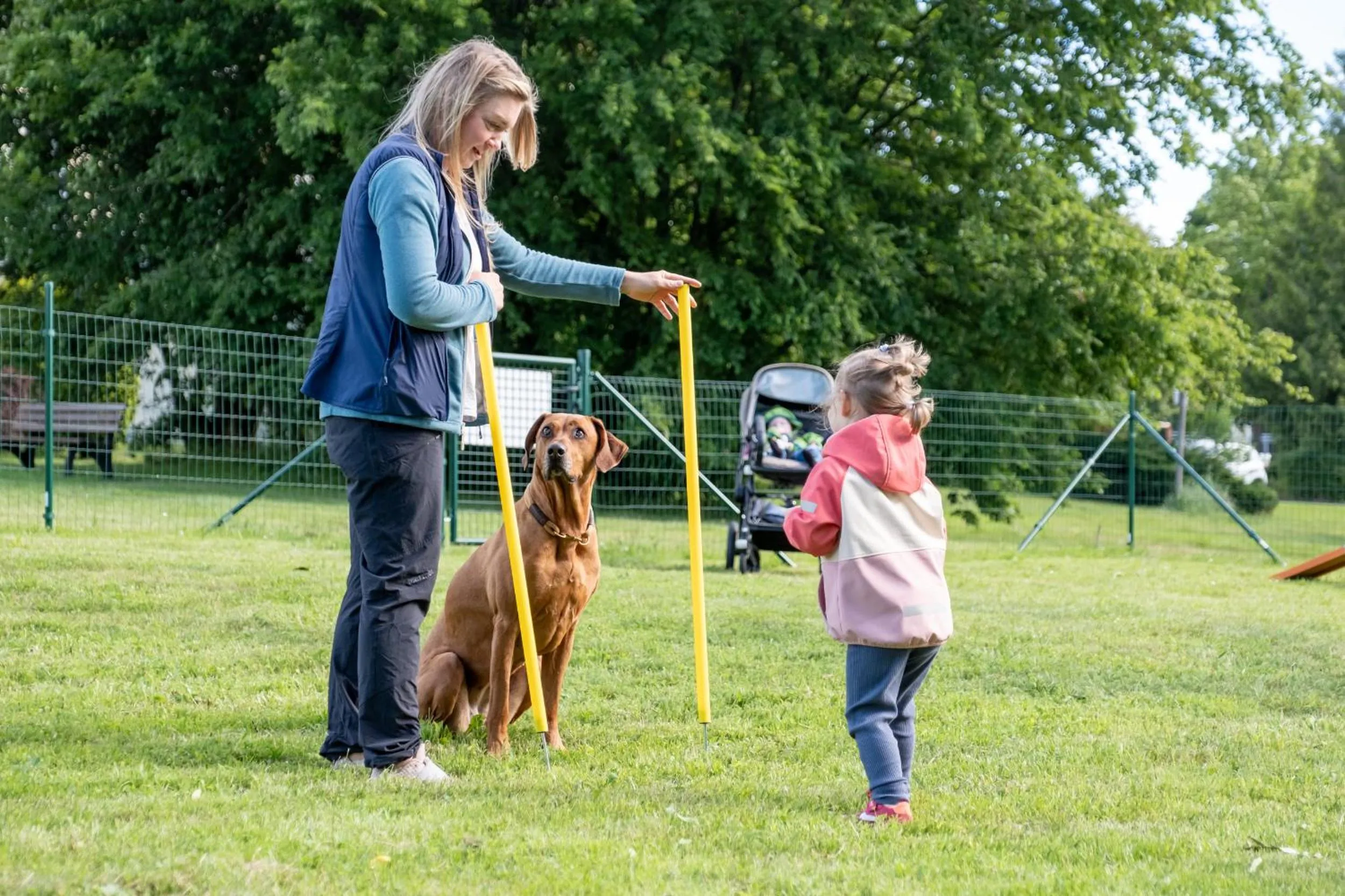 Area and facilities in Der Wolfshof - Dein Zuhause im Harz