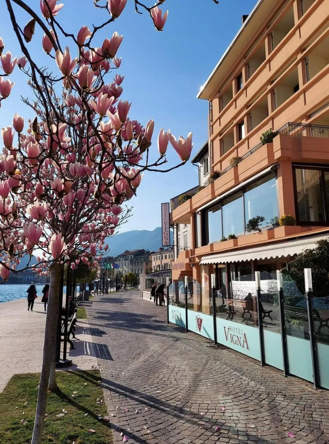 Hotel Vigna