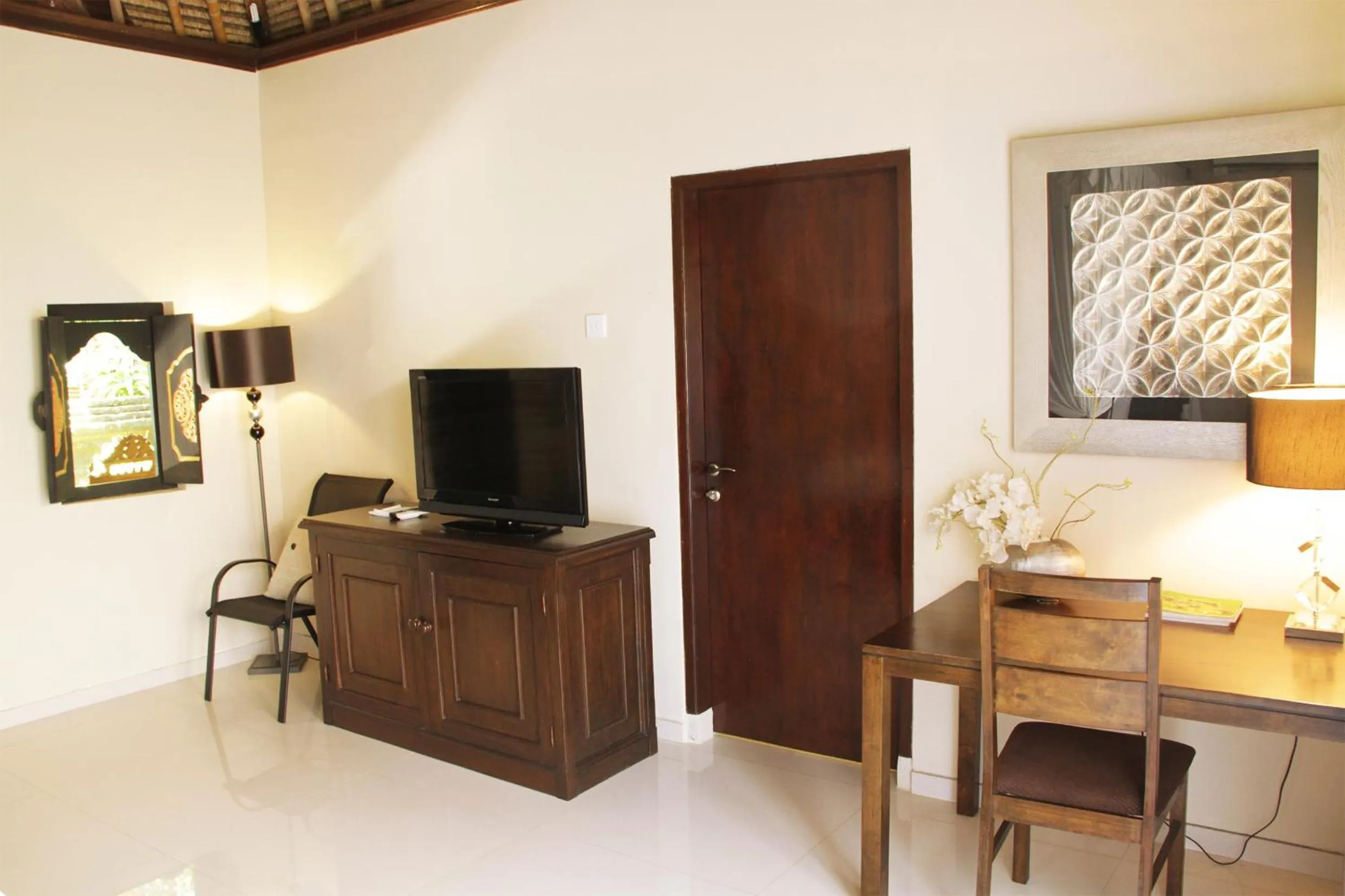 TV and multimedia in Bali Agung Village