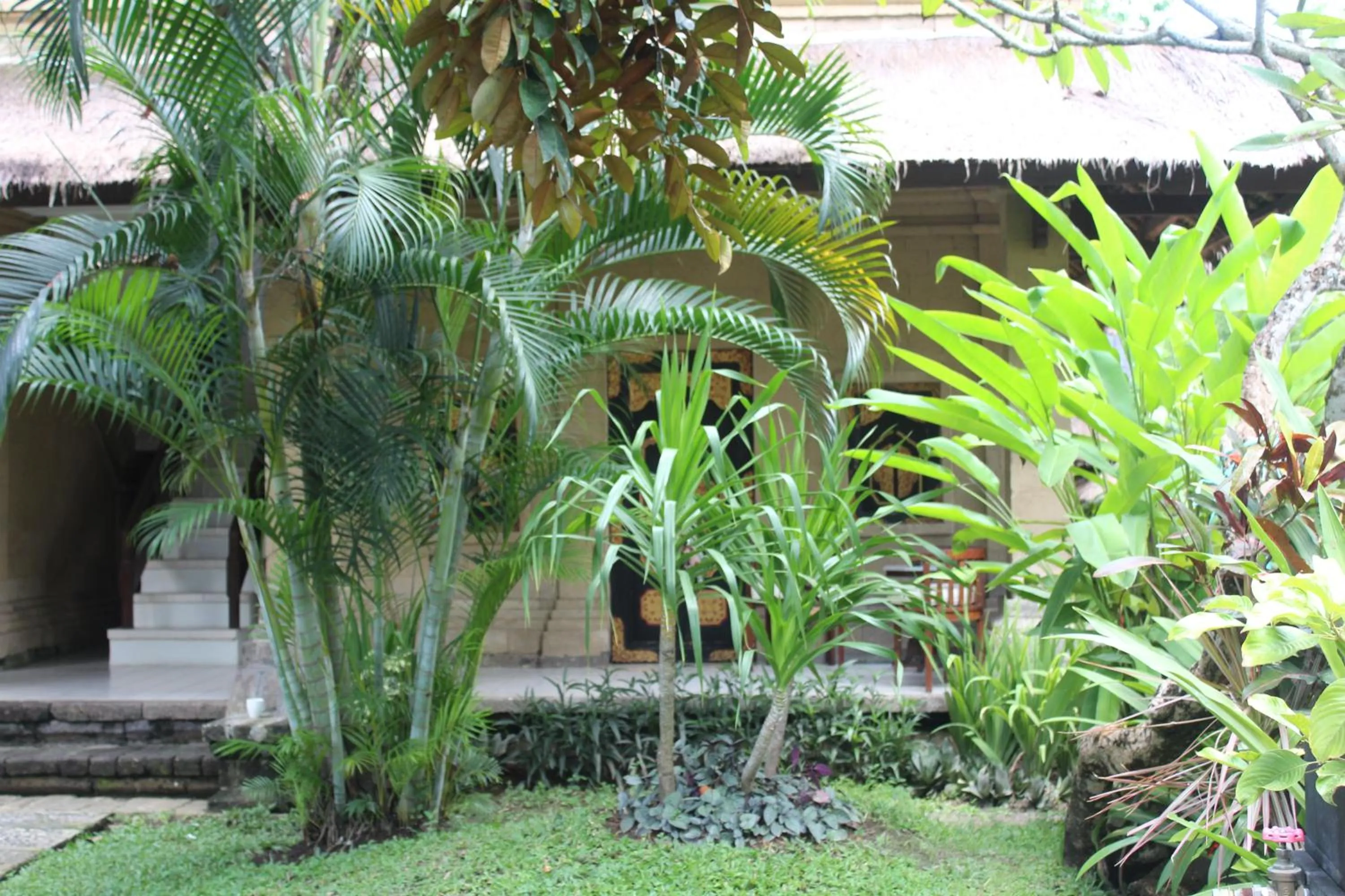 Day in Bali Agung Village