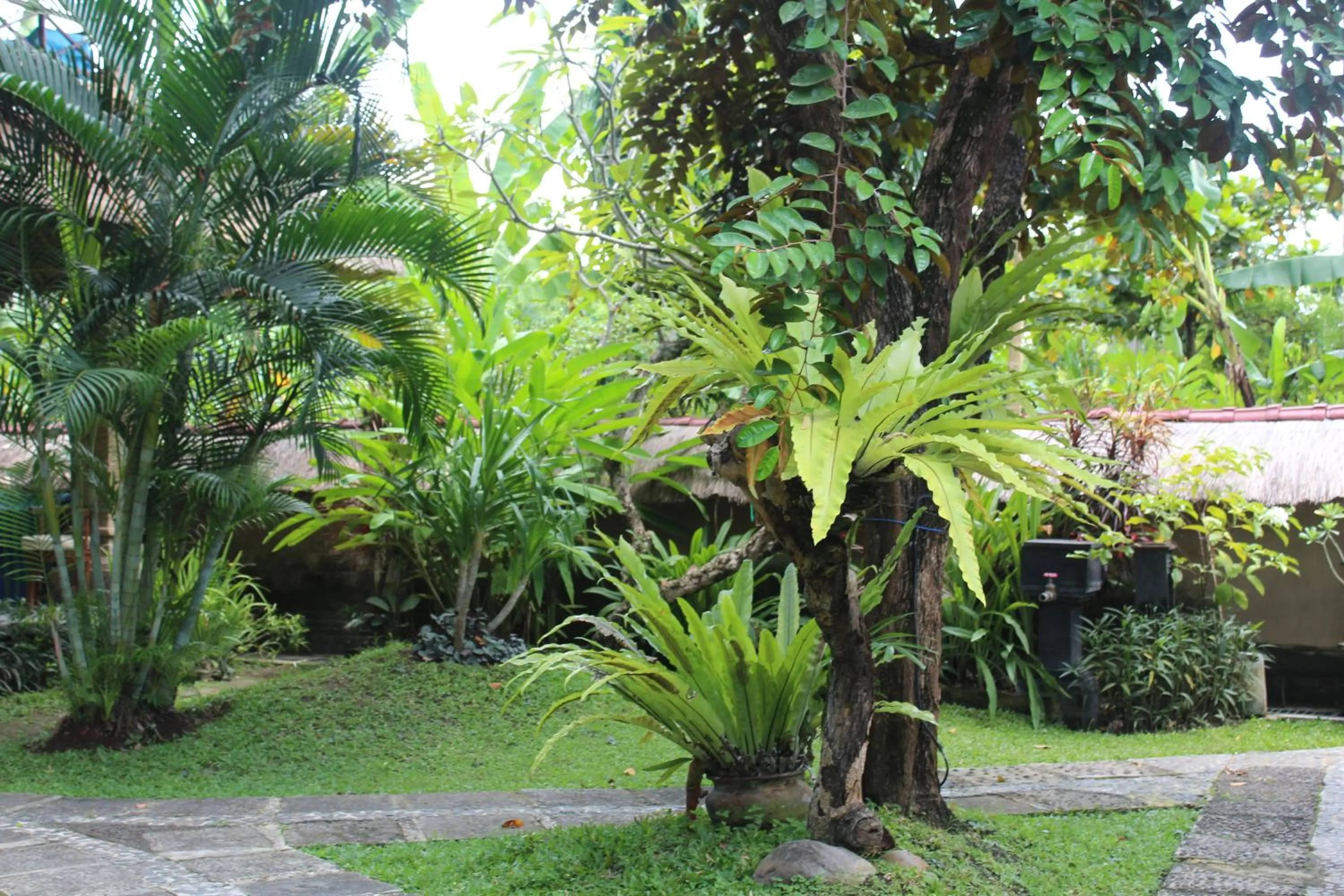 Day in Bali Agung Village