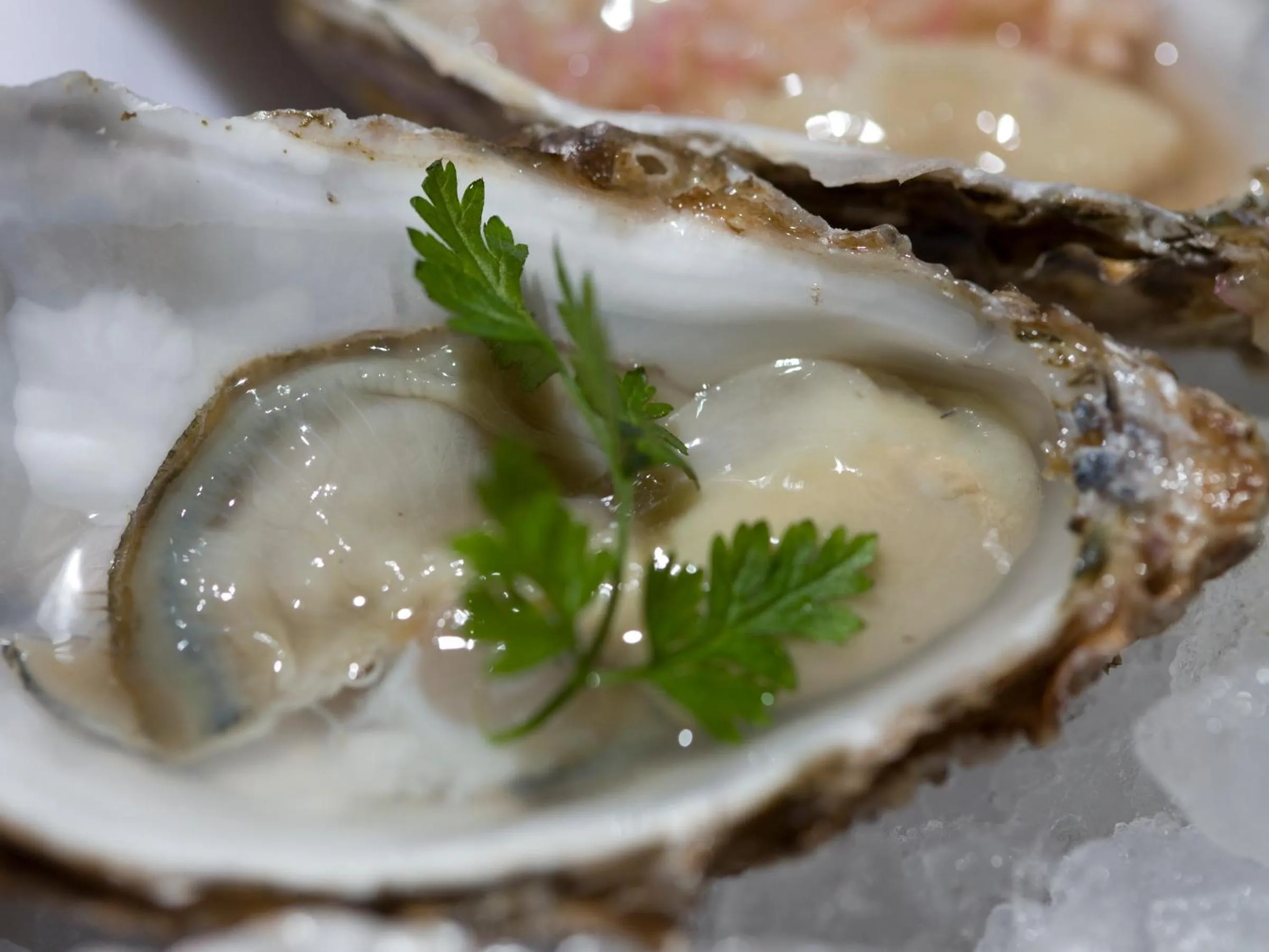 Dinner in Park Central Hotel