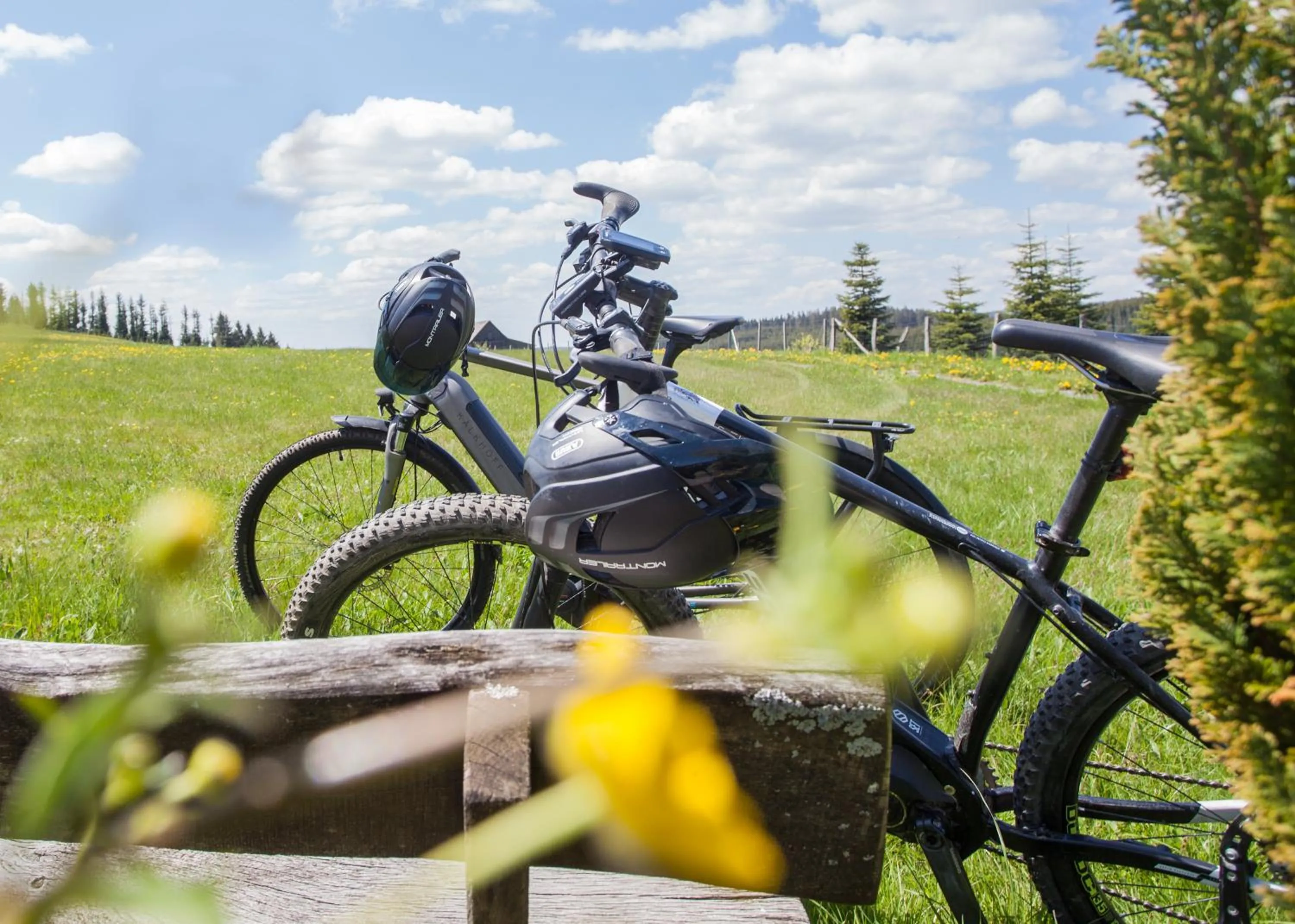 Area and facilities in Der schöne Asten - Resort Winterberg