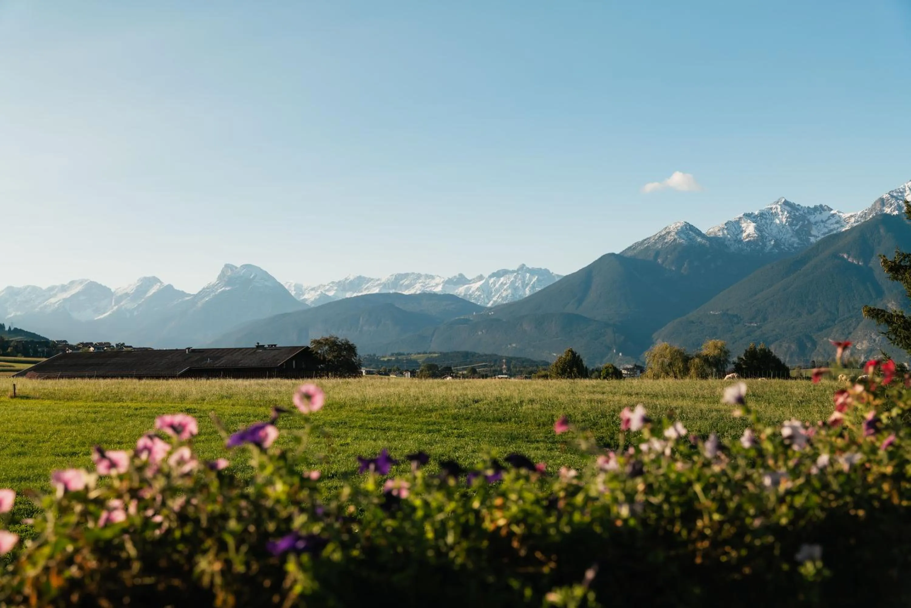 Mountain view in MONDI Hotel Axams