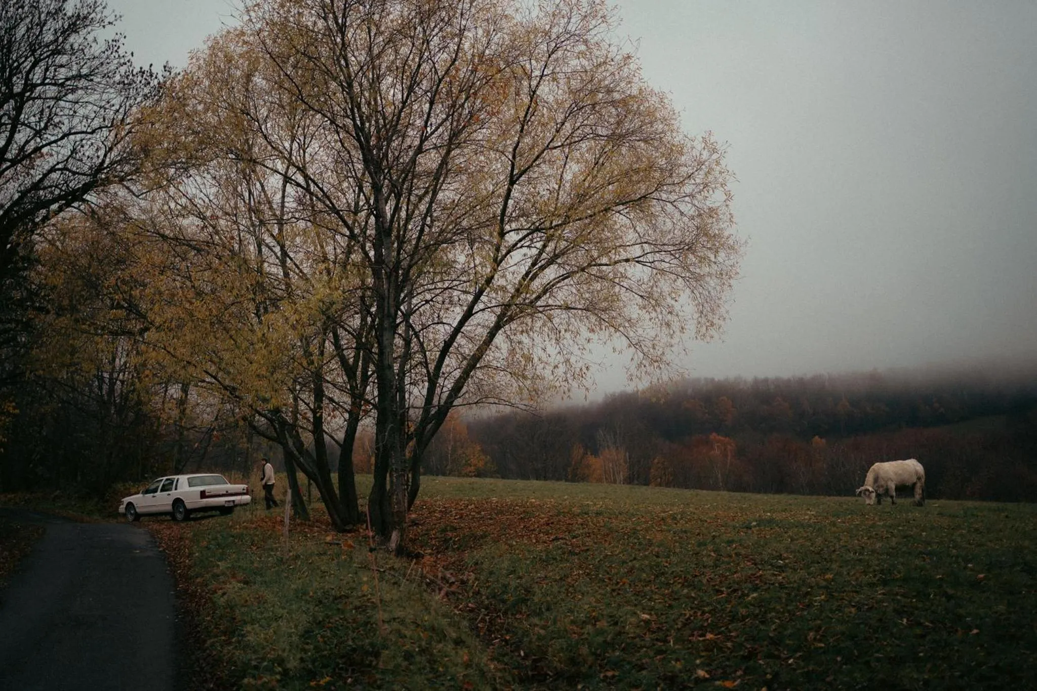 Off site in Hotel Kopanice