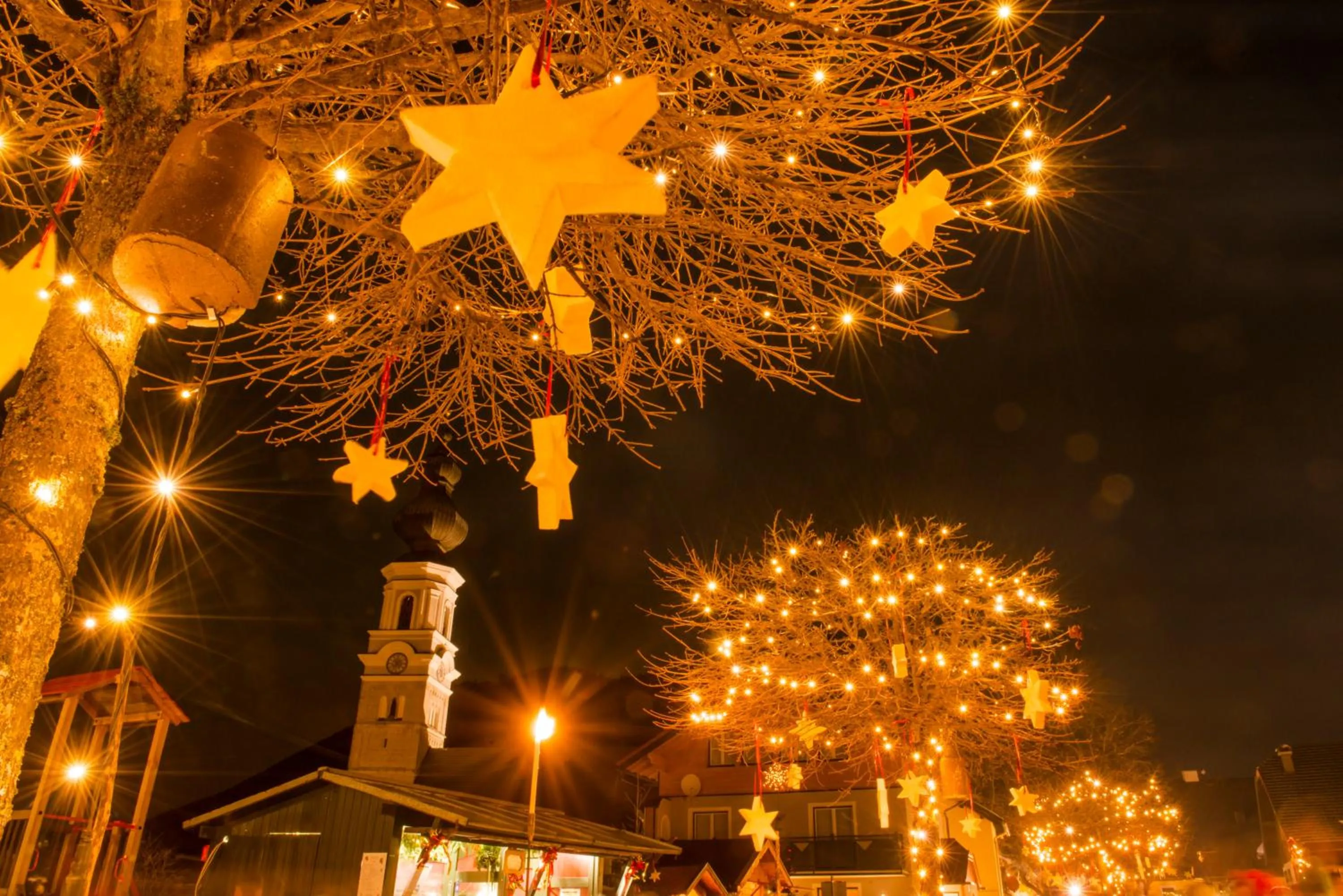 Winter in Appartements Ferienwohnungen Alpenblick