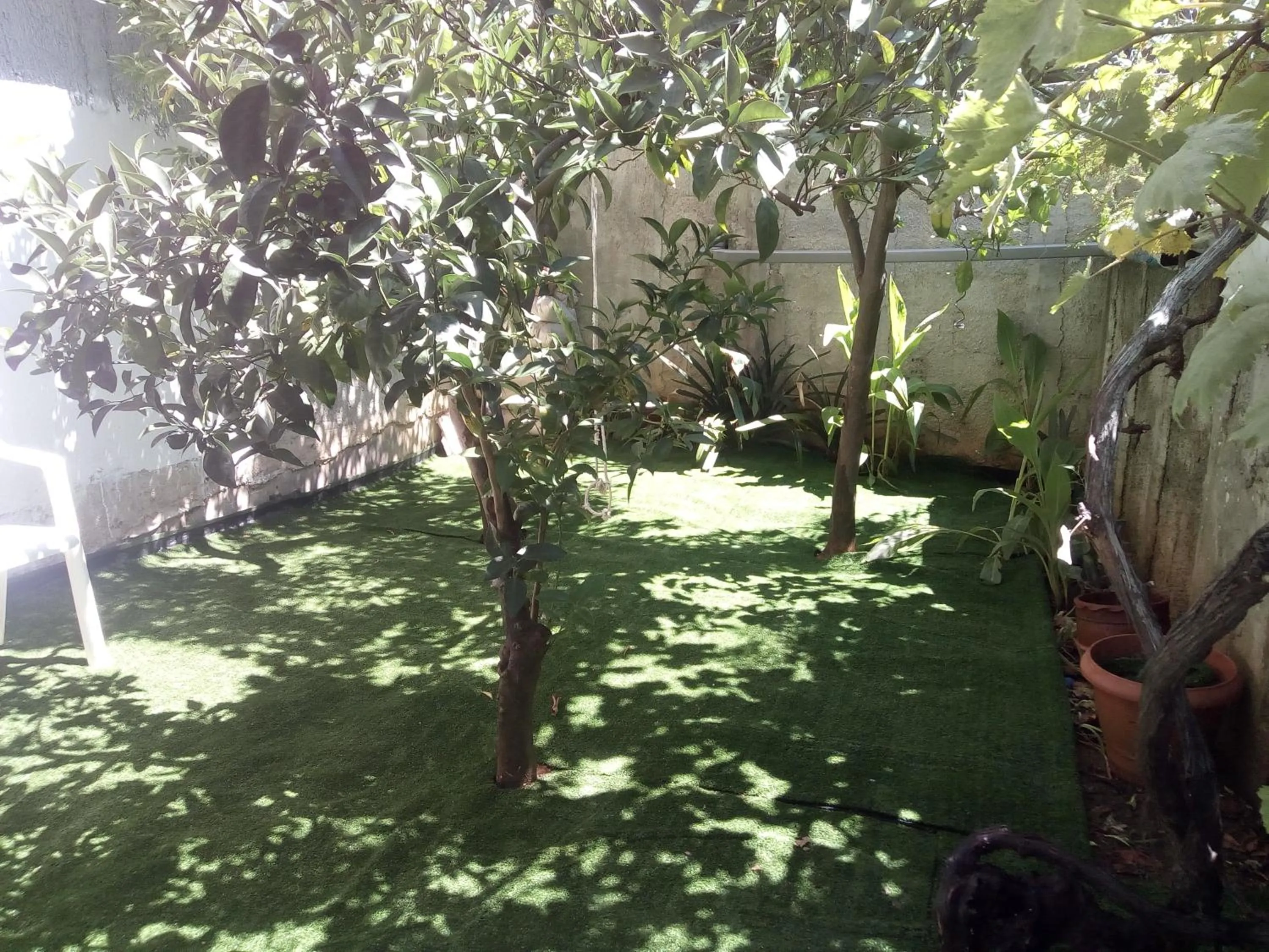 Garden in Hellen Studios