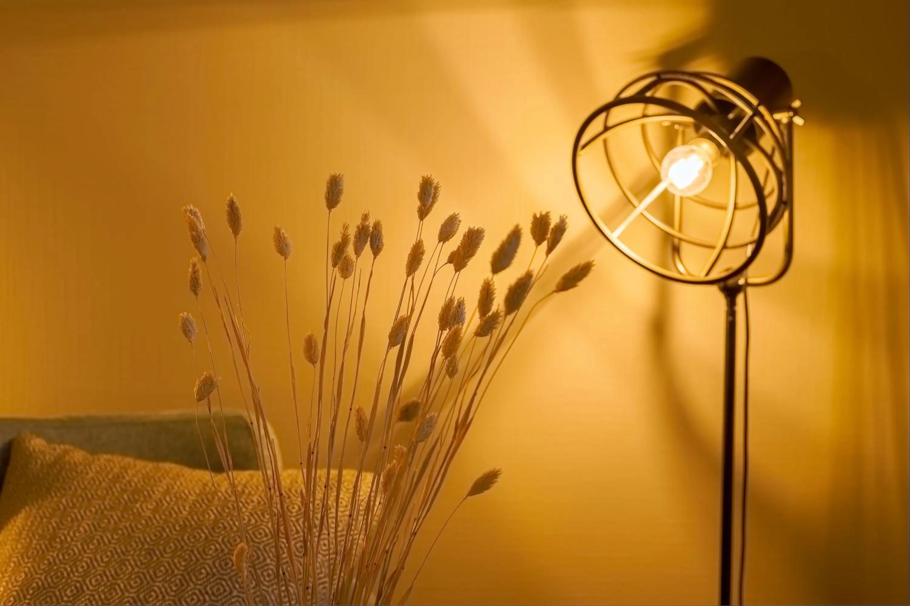 Photo of the whole room in Hotel Kammweg