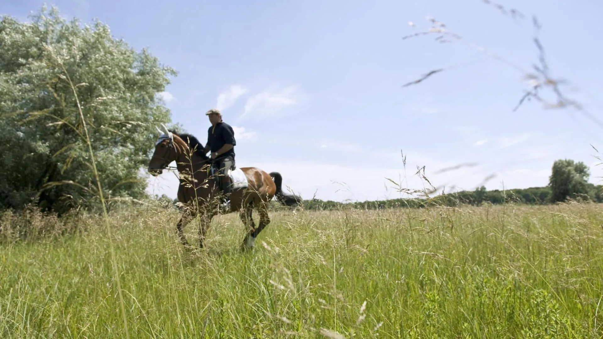 Horse-riding in VILA VITA Pannonia