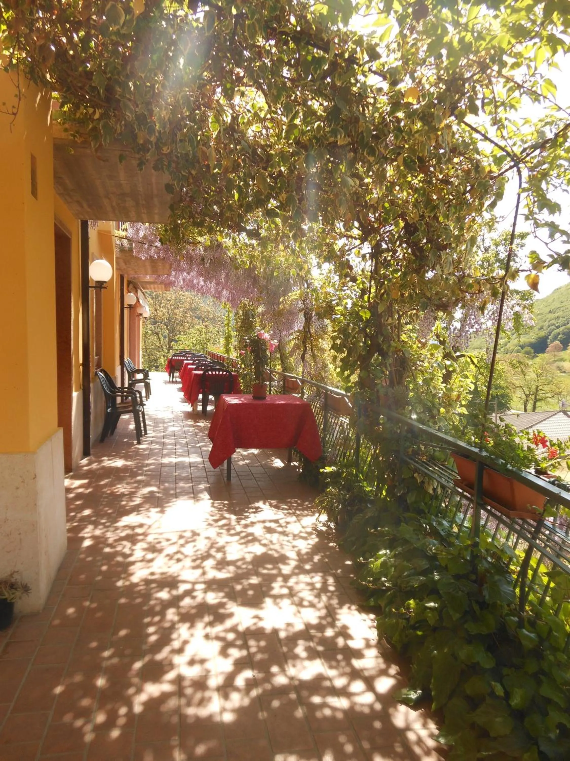 Balcony/Terrace in Hotel Montebaldina