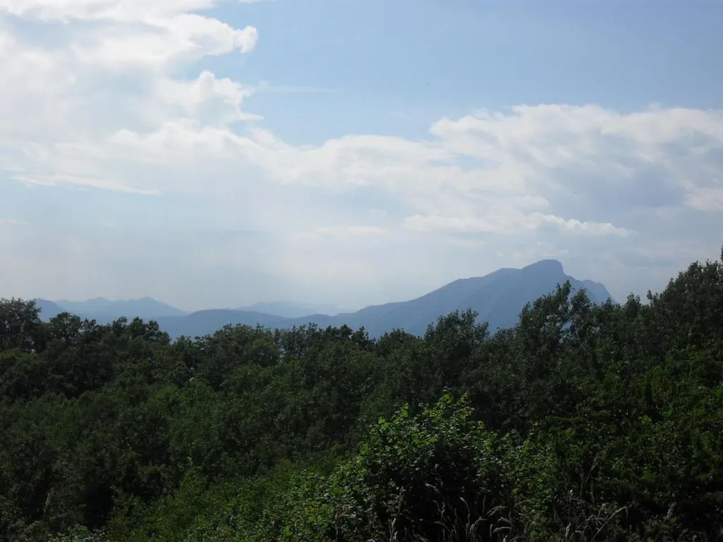 Natural landscape in Hotel Montebaldina