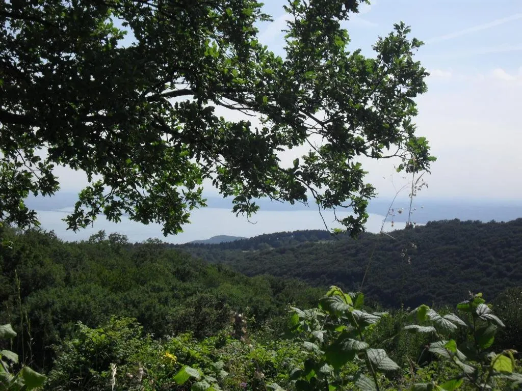 Natural landscape in Hotel Montebaldina