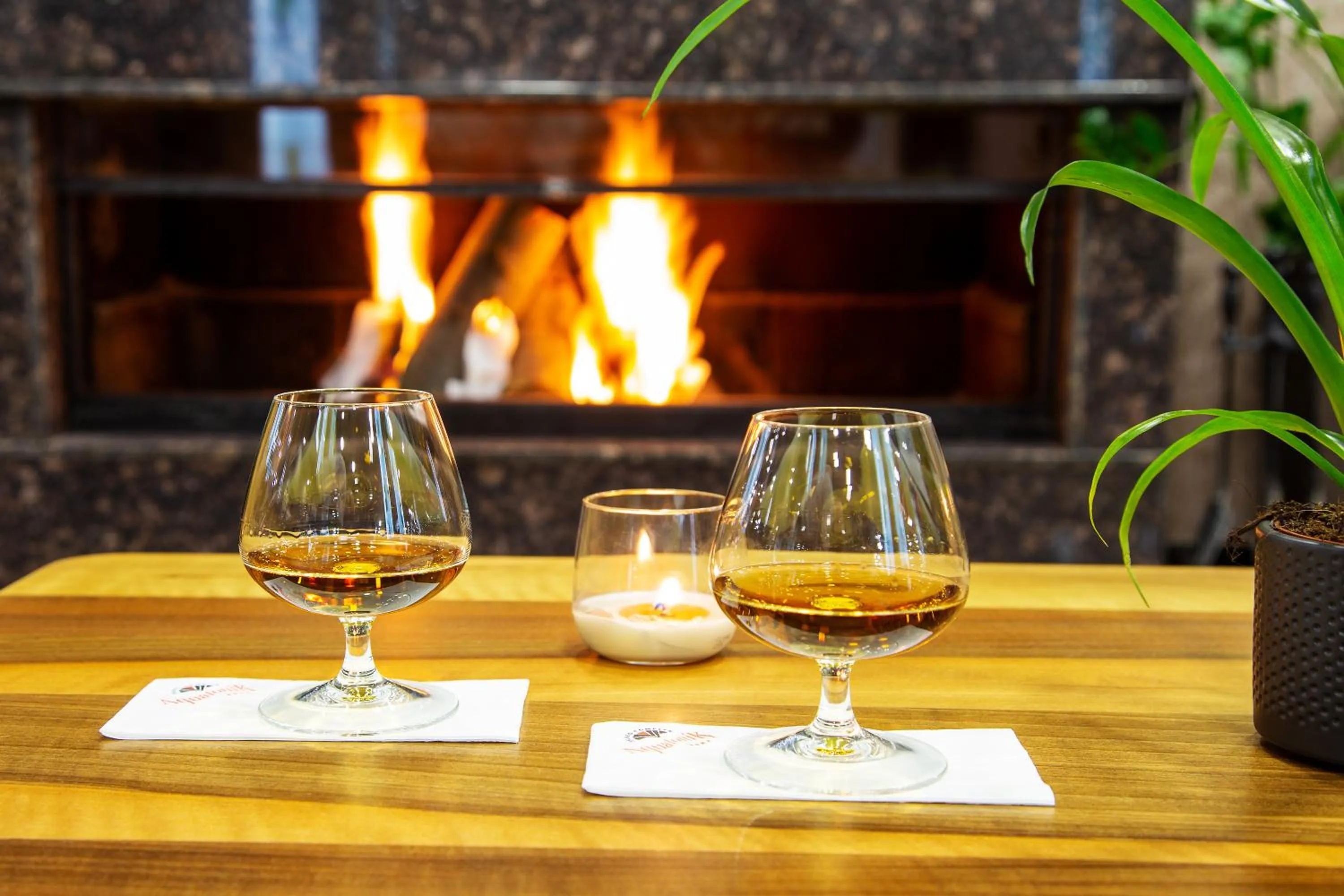 Lobby or reception in Balneo Complex & Spa Aquatonik