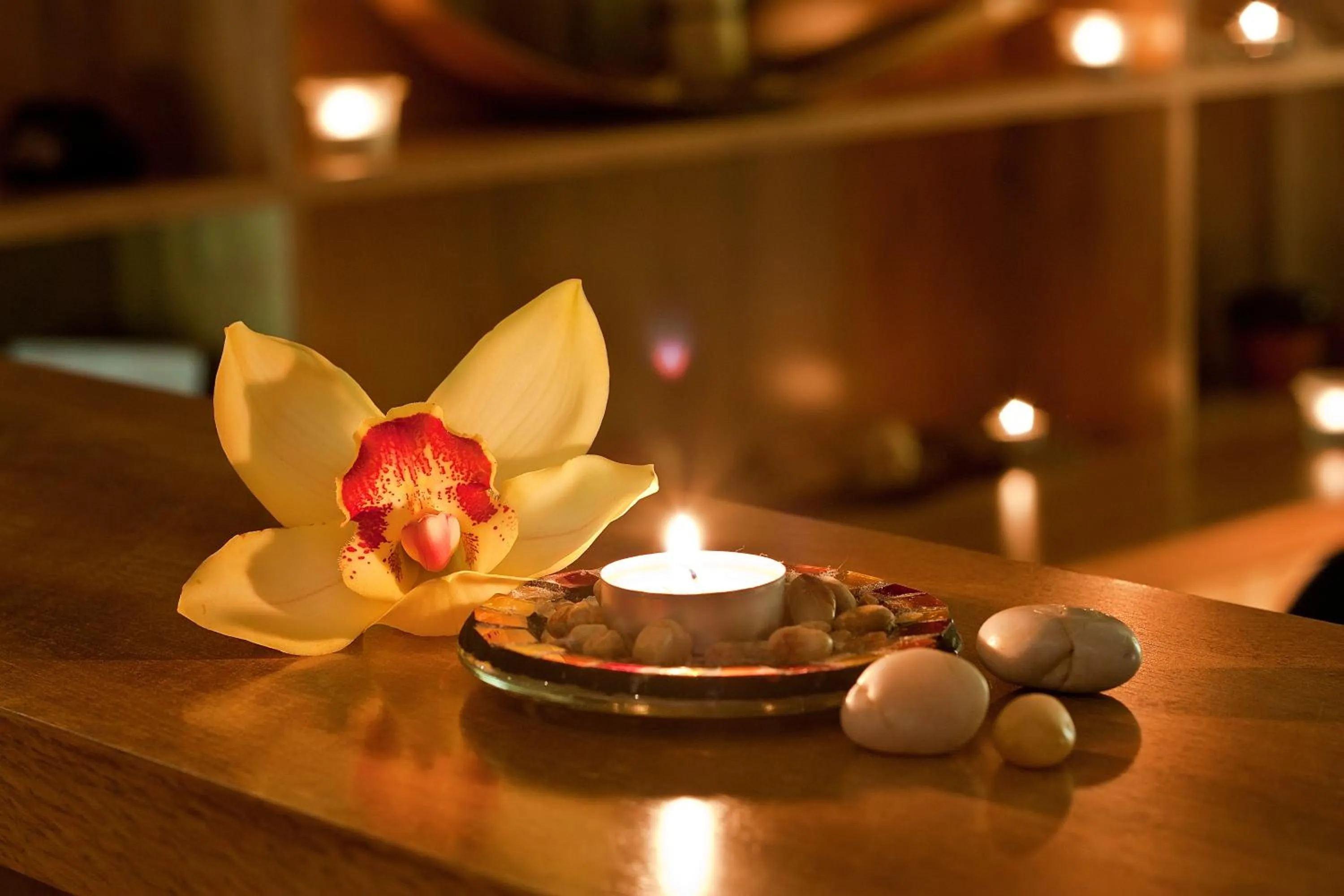 Spa and wellness centre/facilities in Balneo Complex & Spa Aquatonik