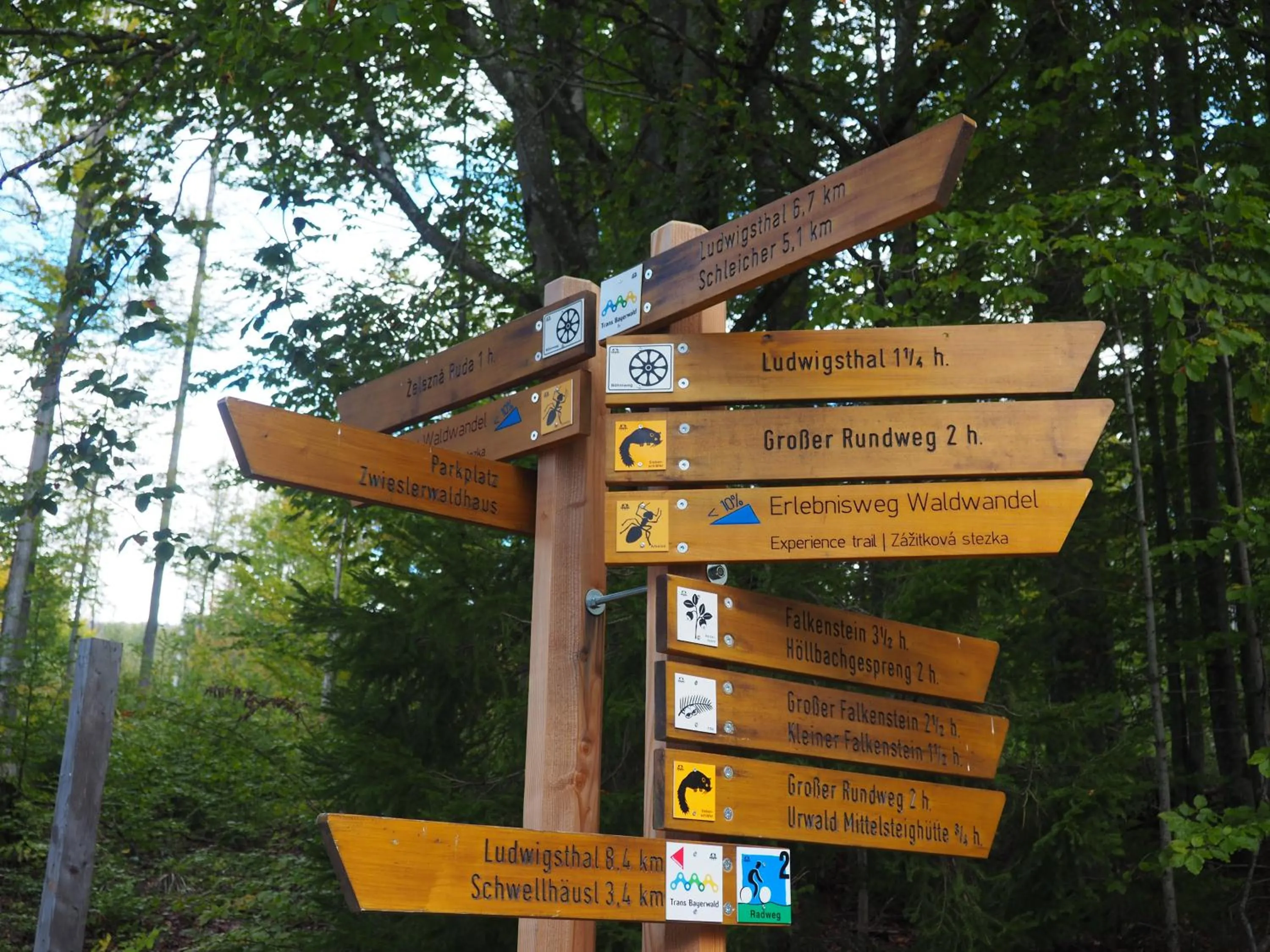 Hiking in Hotel Ahornhof