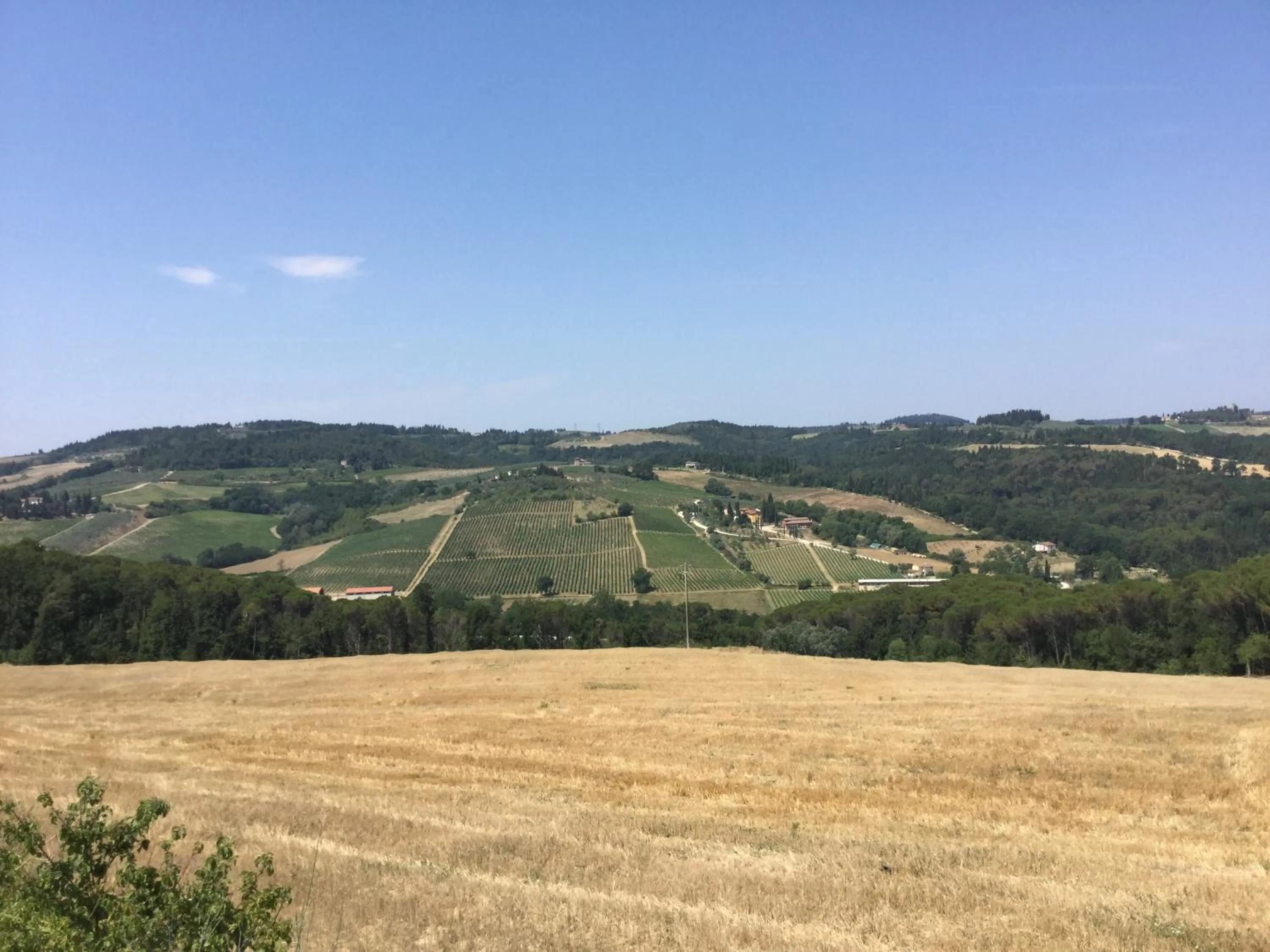 Day in Podere Dell'Anselmo