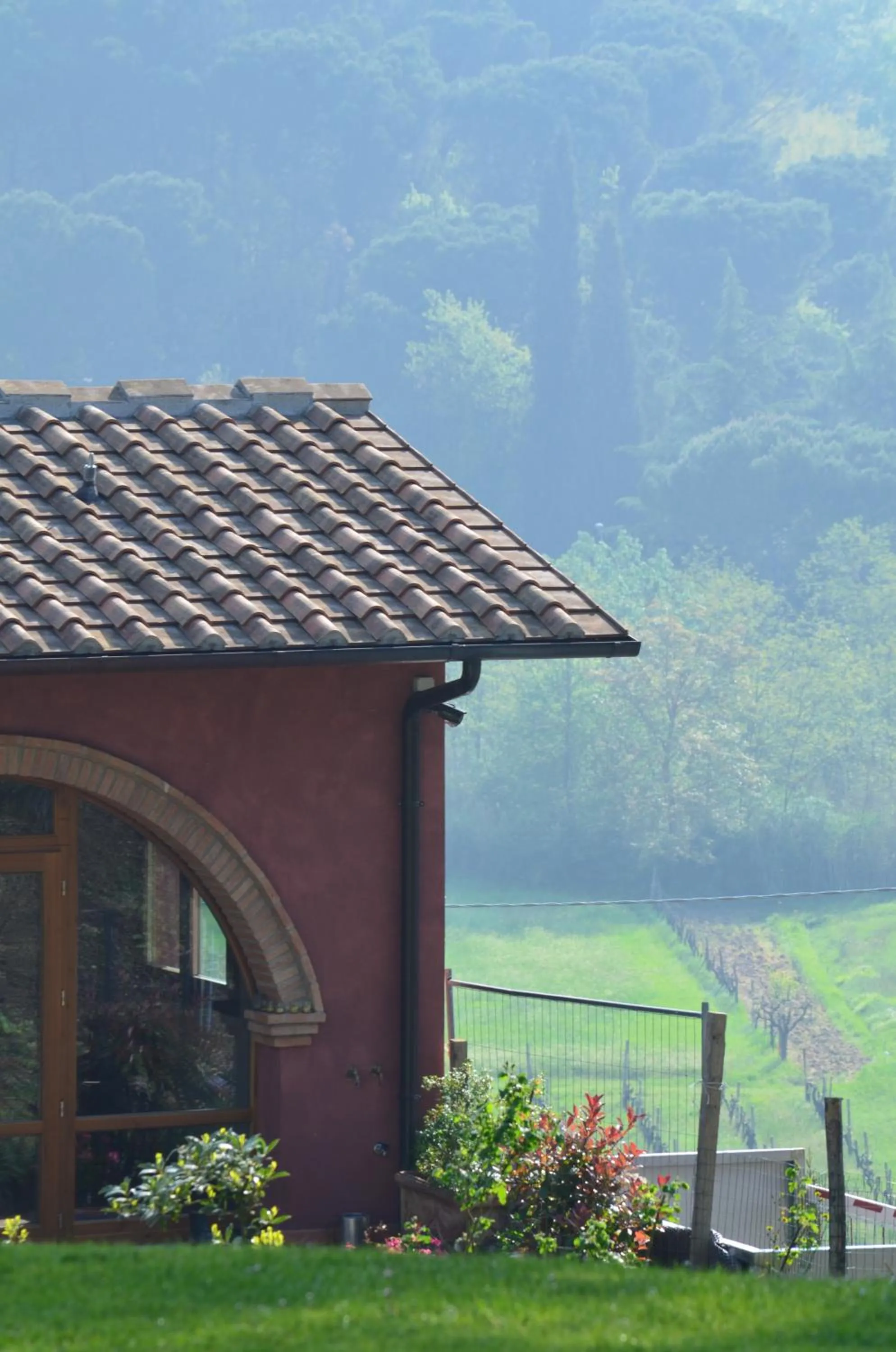 View (from property/room) in Podere Dell'Anselmo