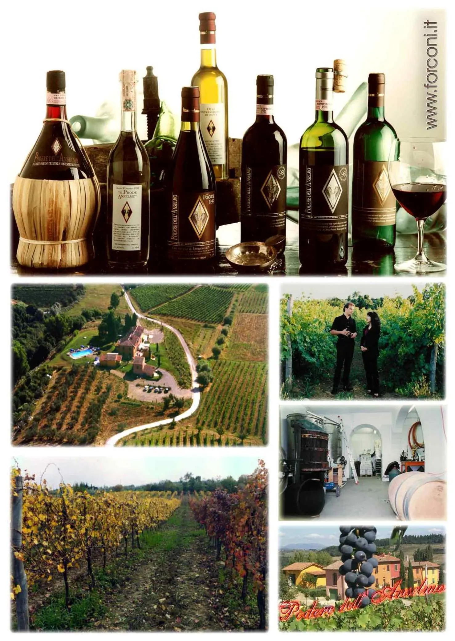 Other in Podere Dell'Anselmo