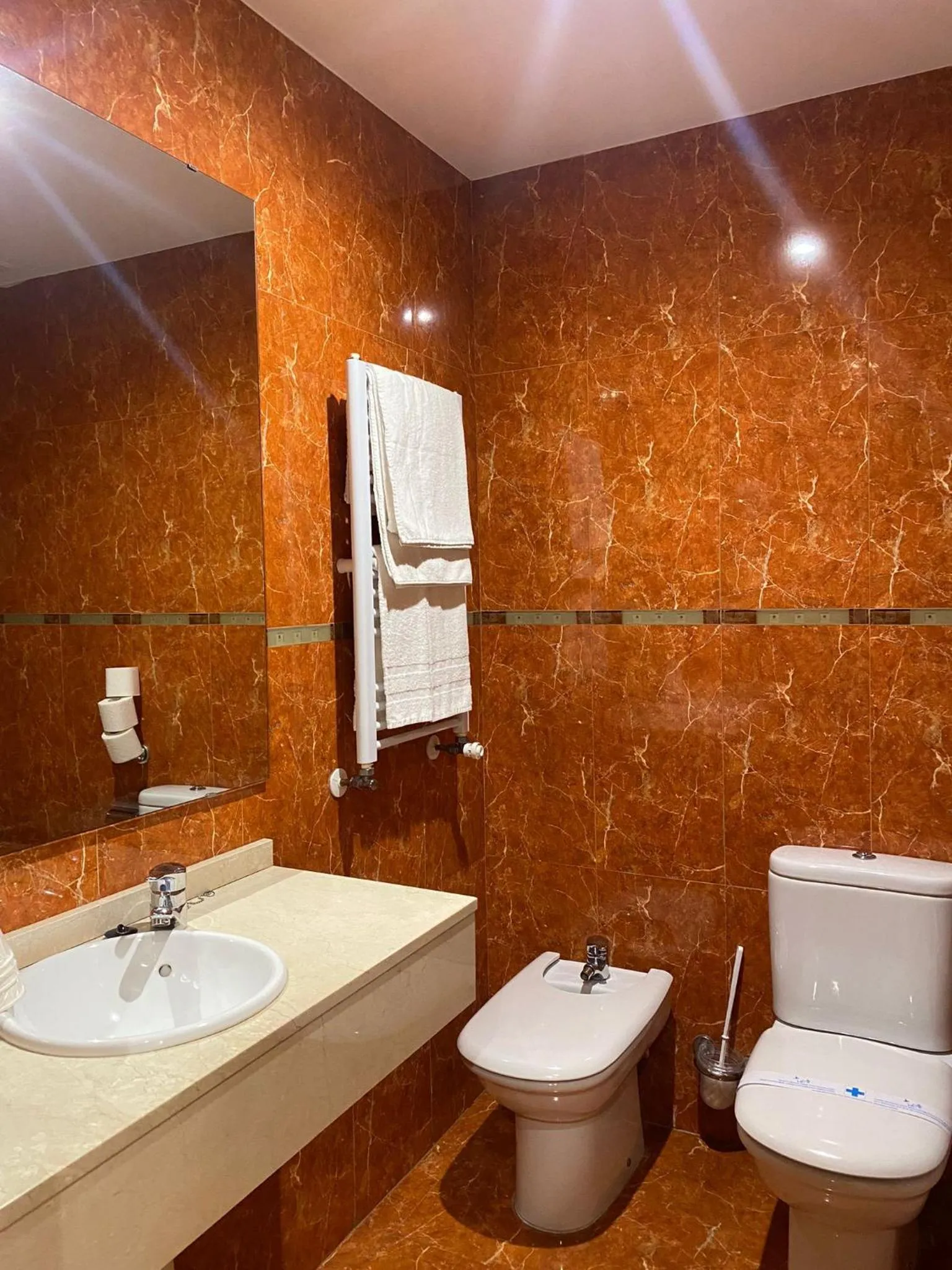 Toilet in Hotel Campos de Castilla
