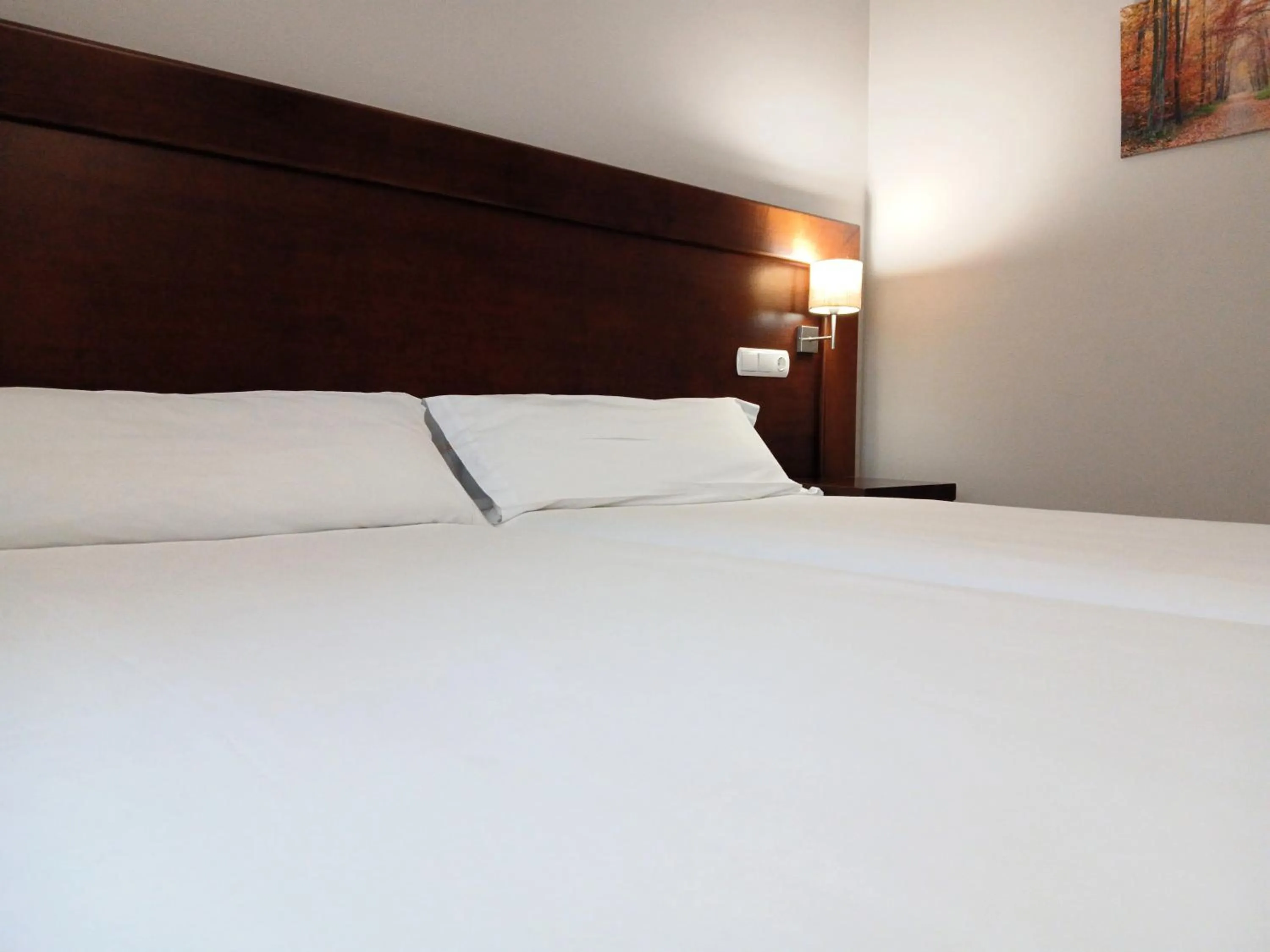 Photo of the whole room, Bed in Hotel Campos de Castilla