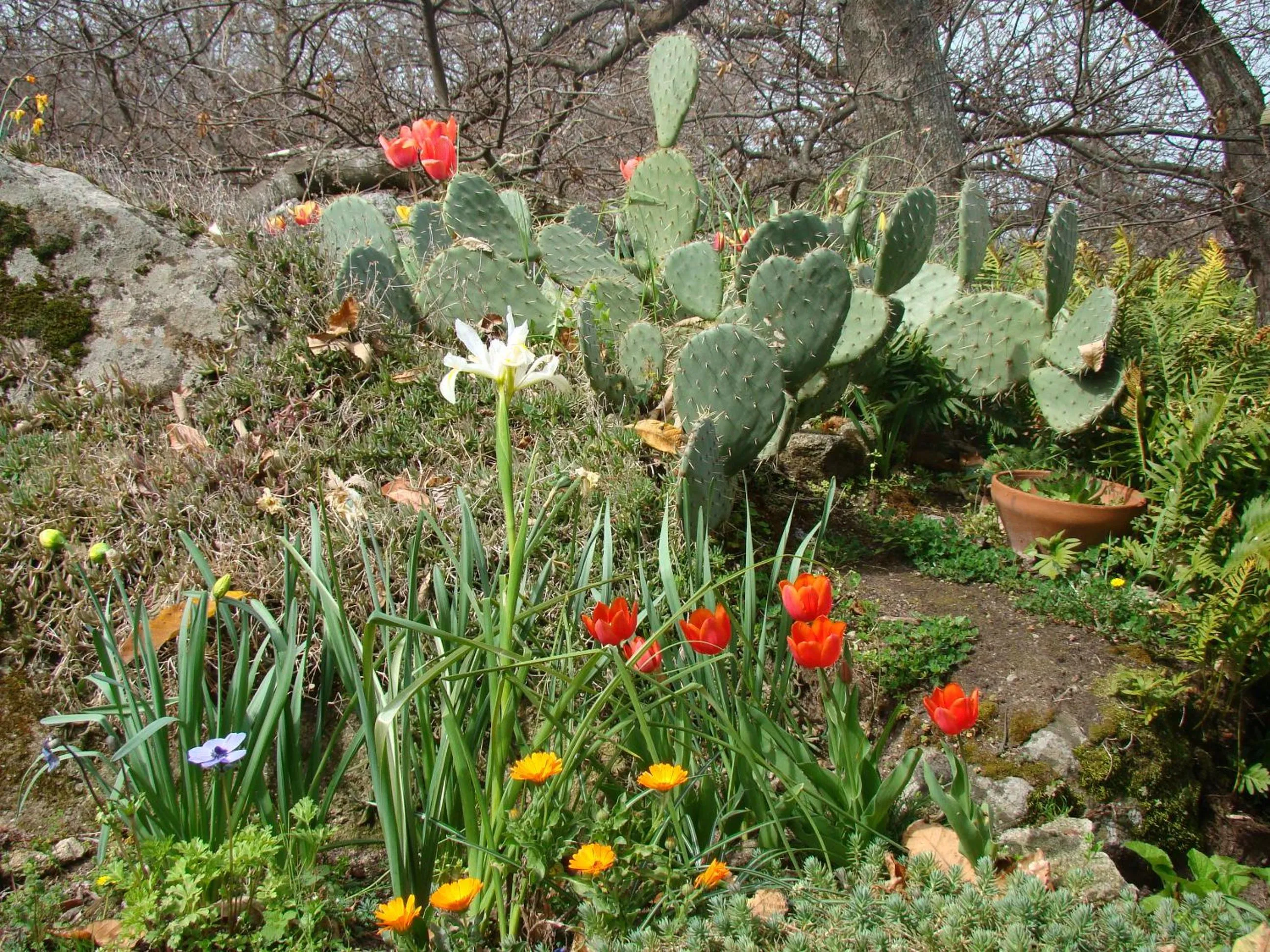Garden in Borgo Tepolini Country House