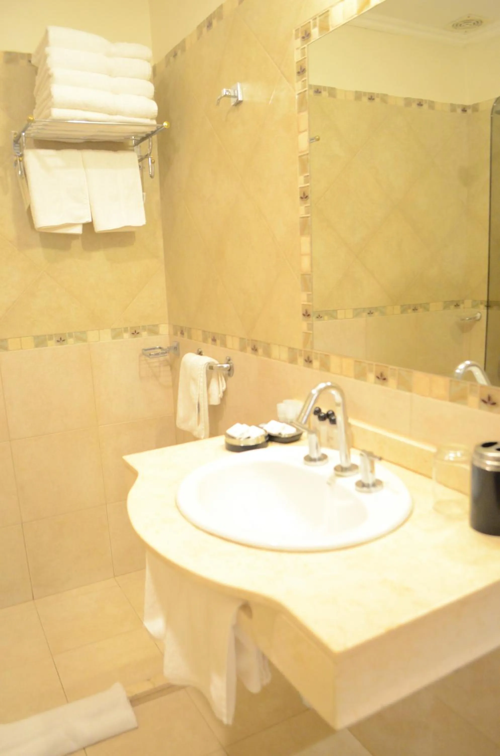 Bathroom in Hotel Jardin De Iguazu