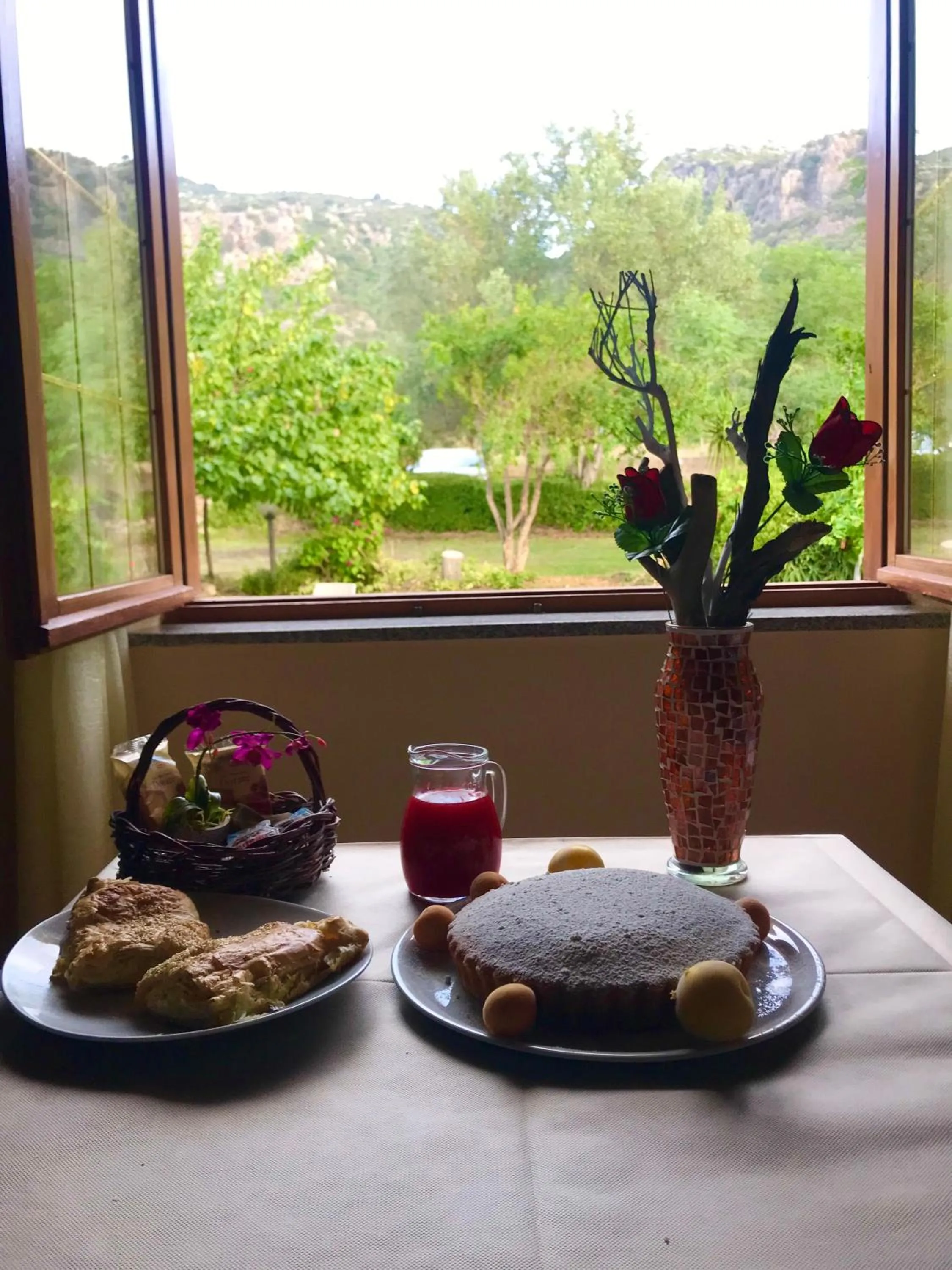 Garden in Hotel Velasole