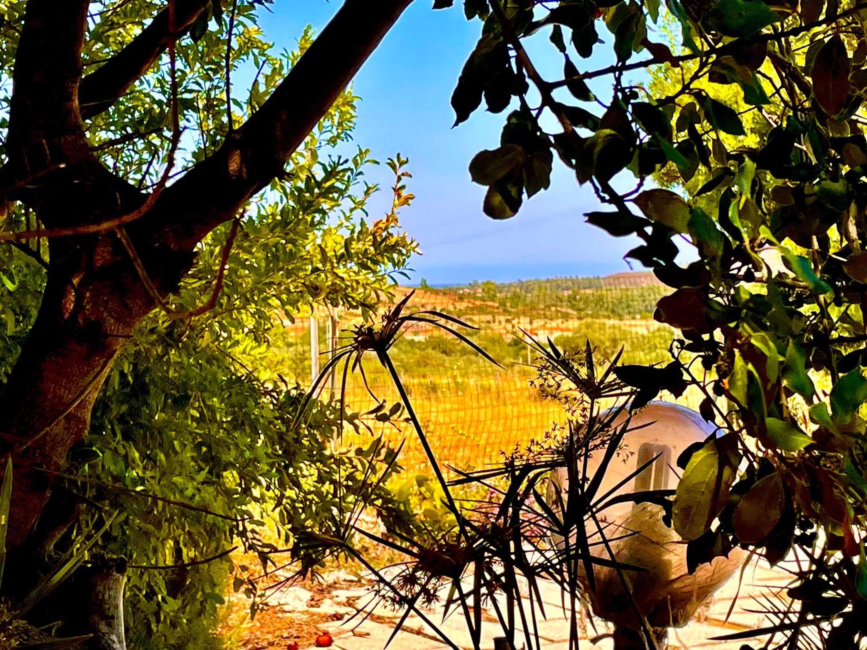 Day in Hotel Velasole