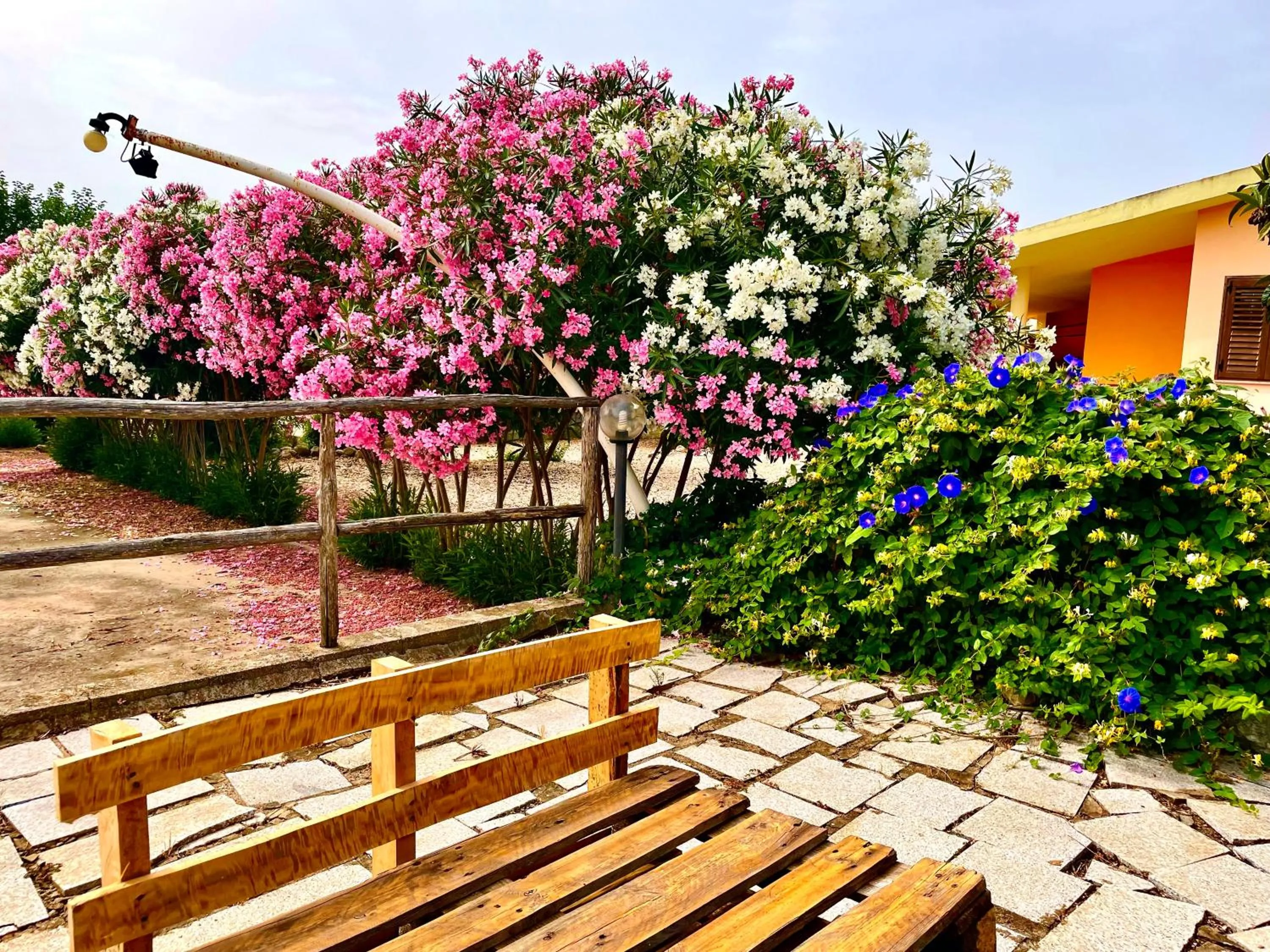 Spring in Hotel Velasole