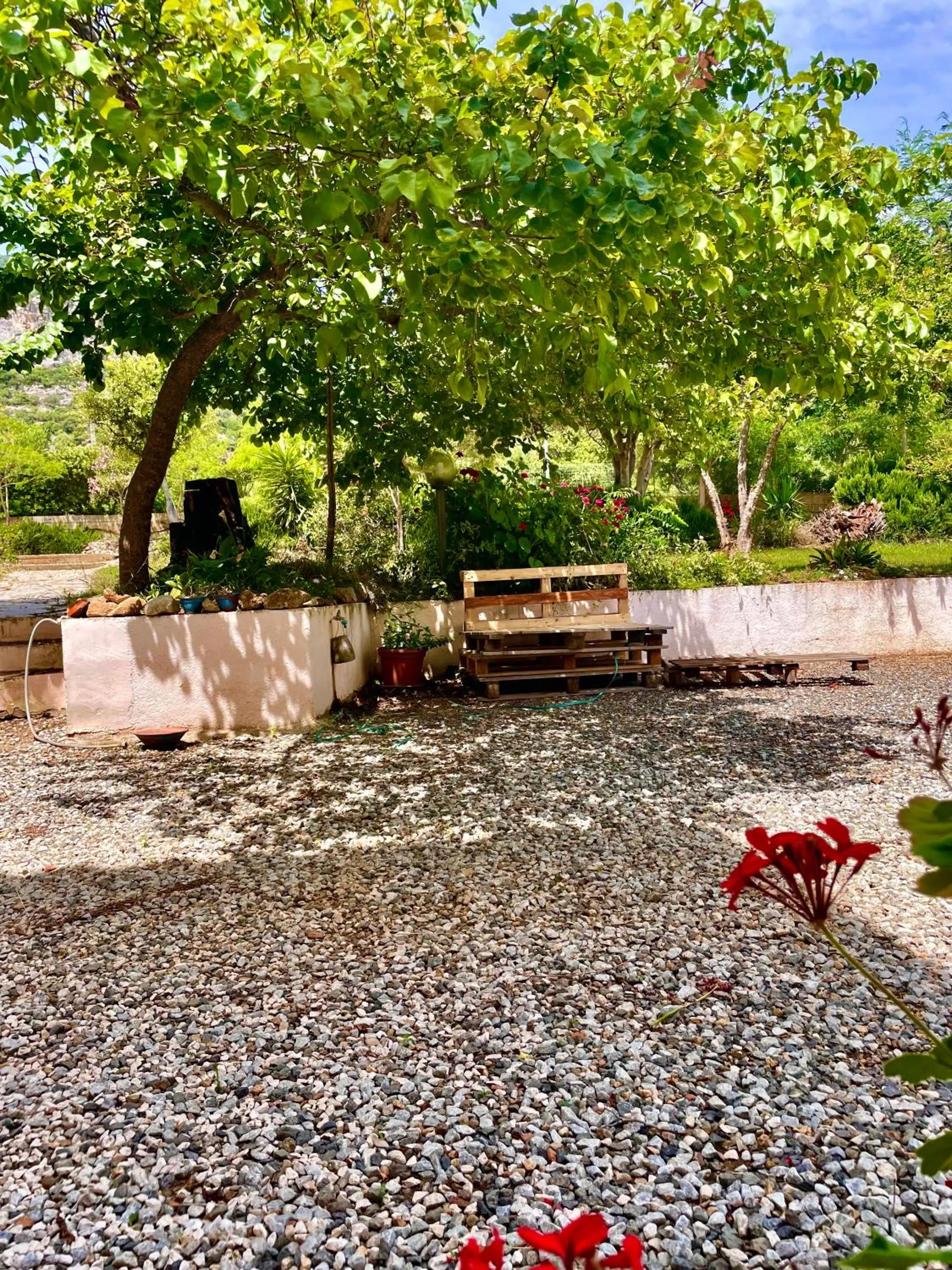 Property building in Hotel Velasole