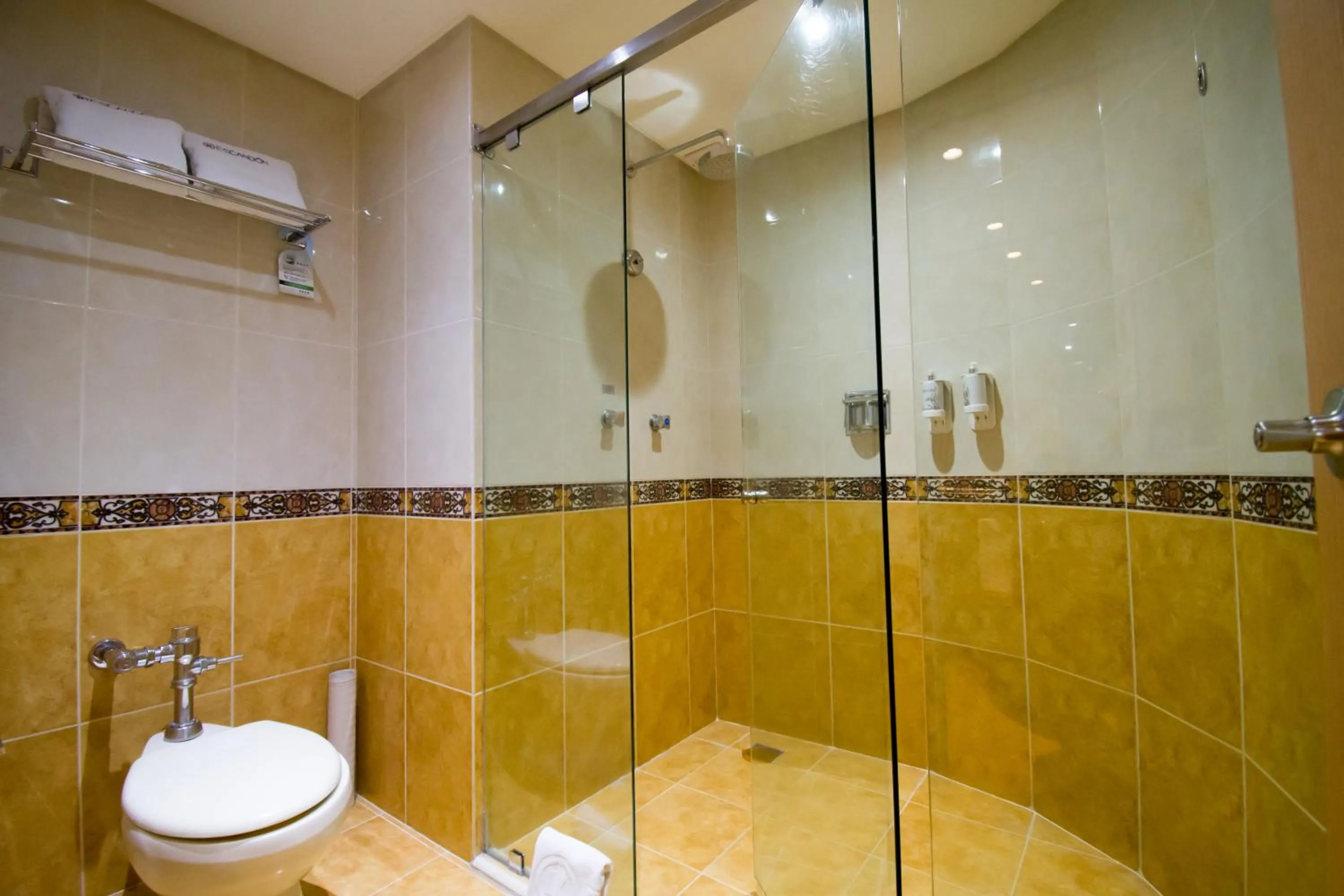 Toilet in KALI Escandón Mexico City