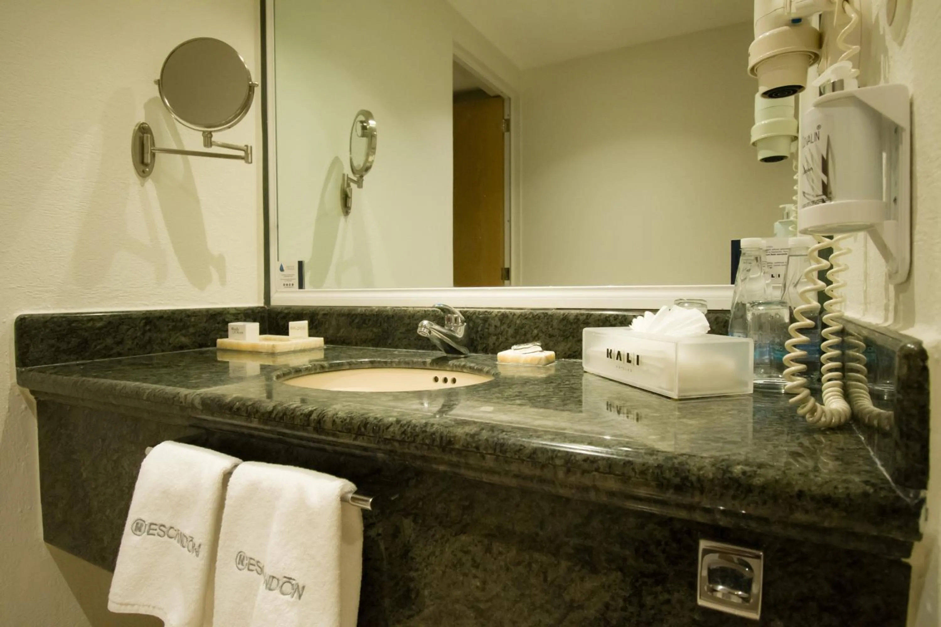 Toilet in KALI Escandón Mexico City