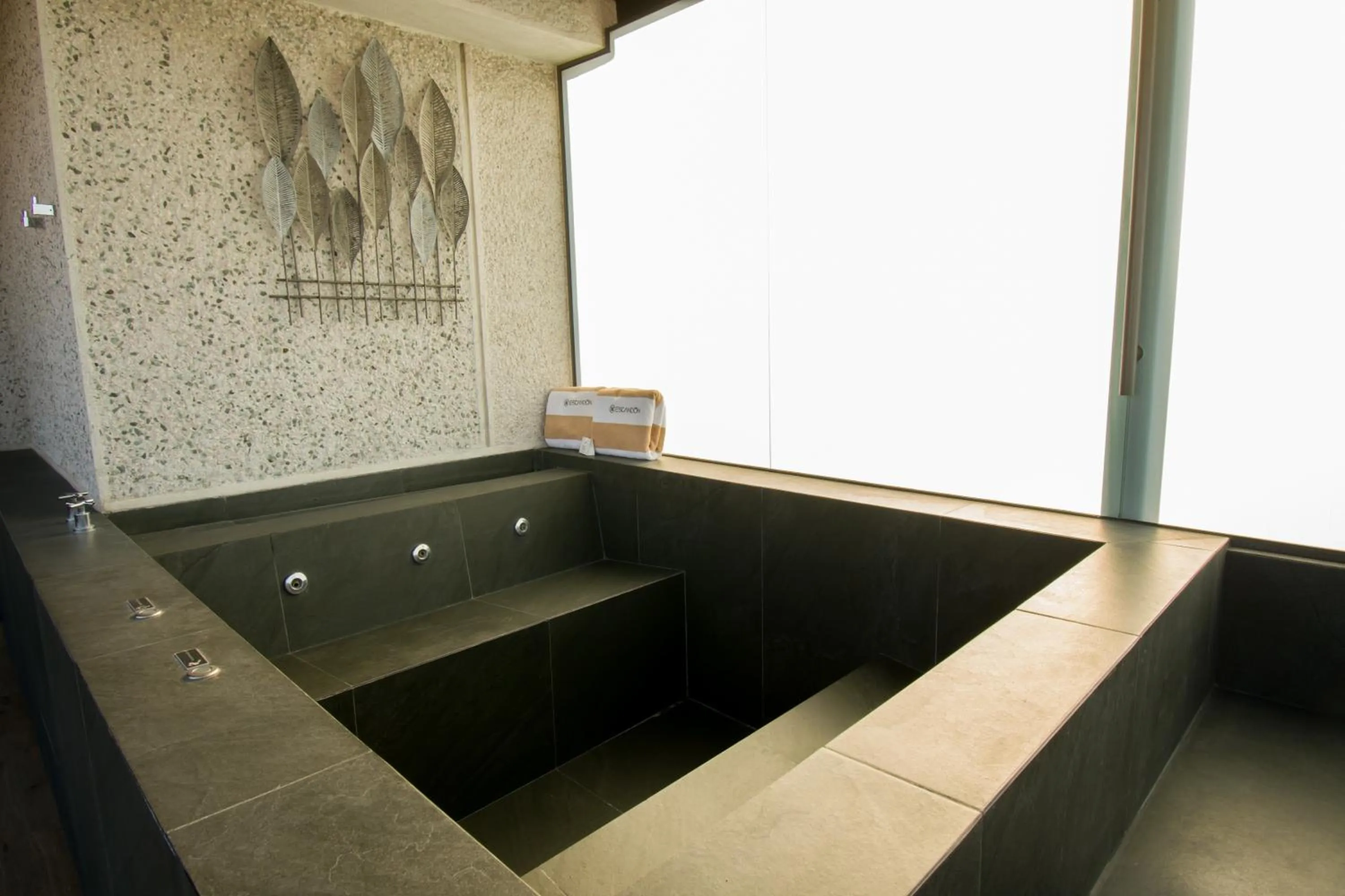 Hot Tub in KALI Escandón Mexico City