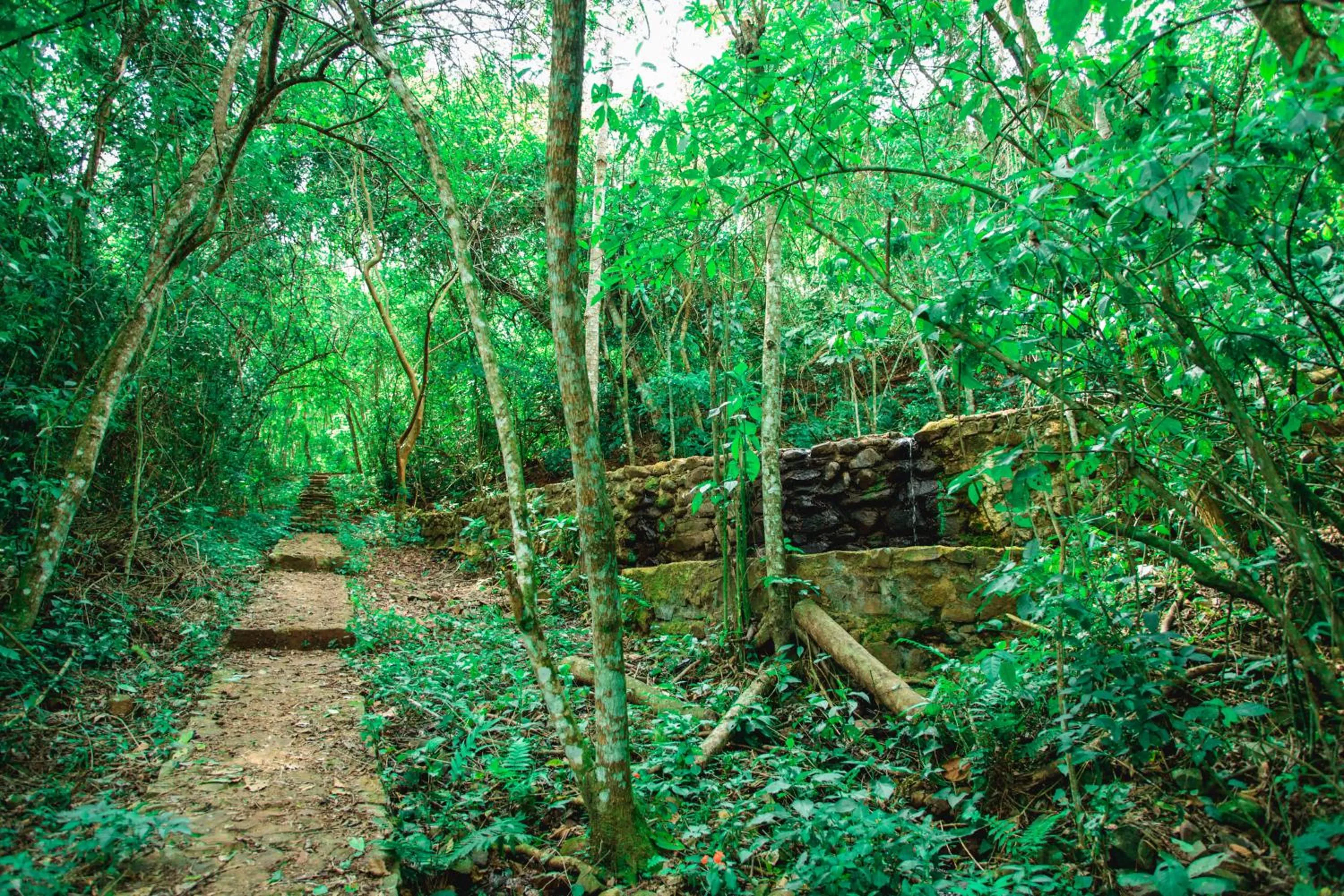 Hiking in Canzi Cataratas Hotel