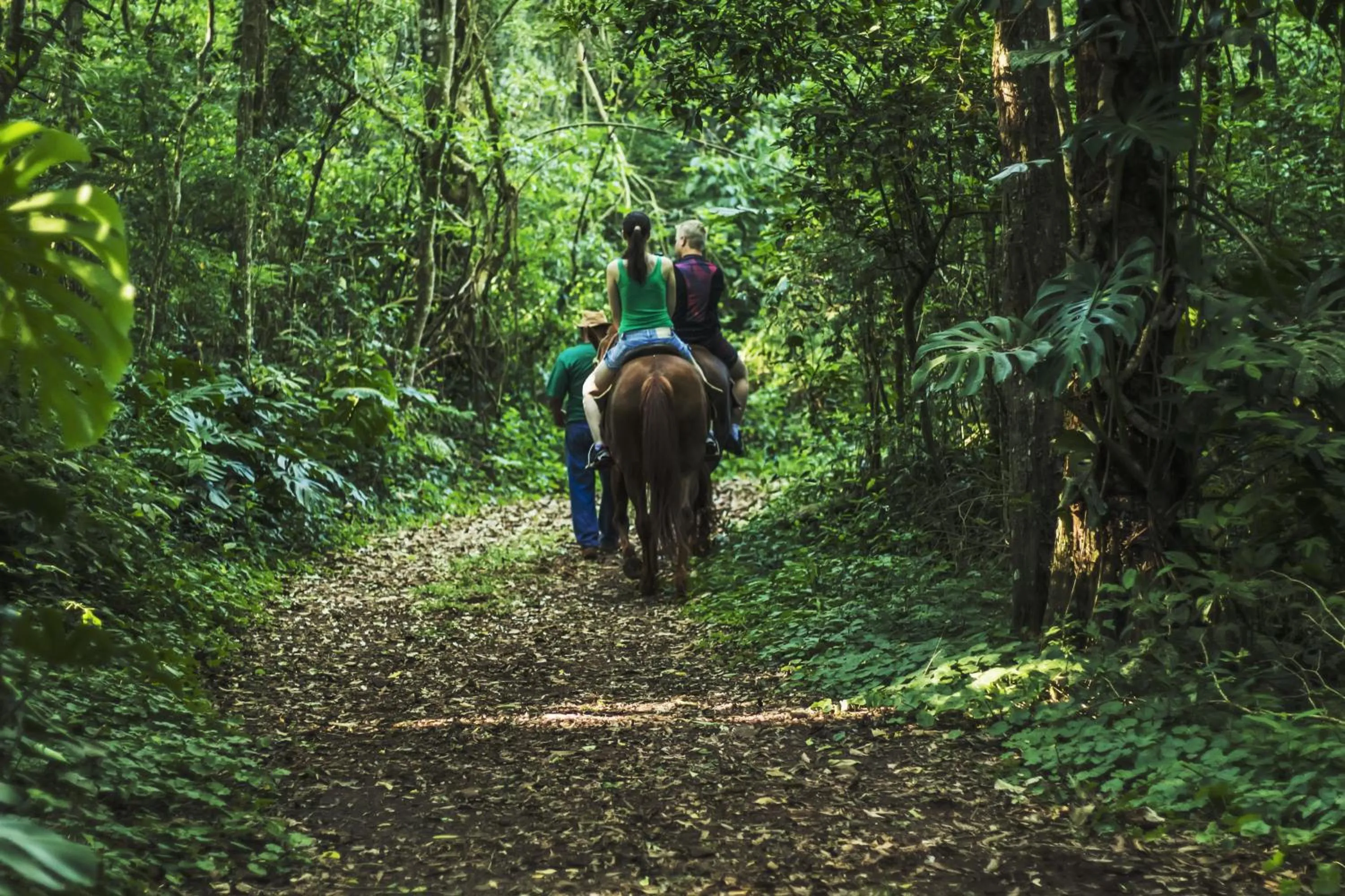 Garden in Canzi Cataratas Hotel