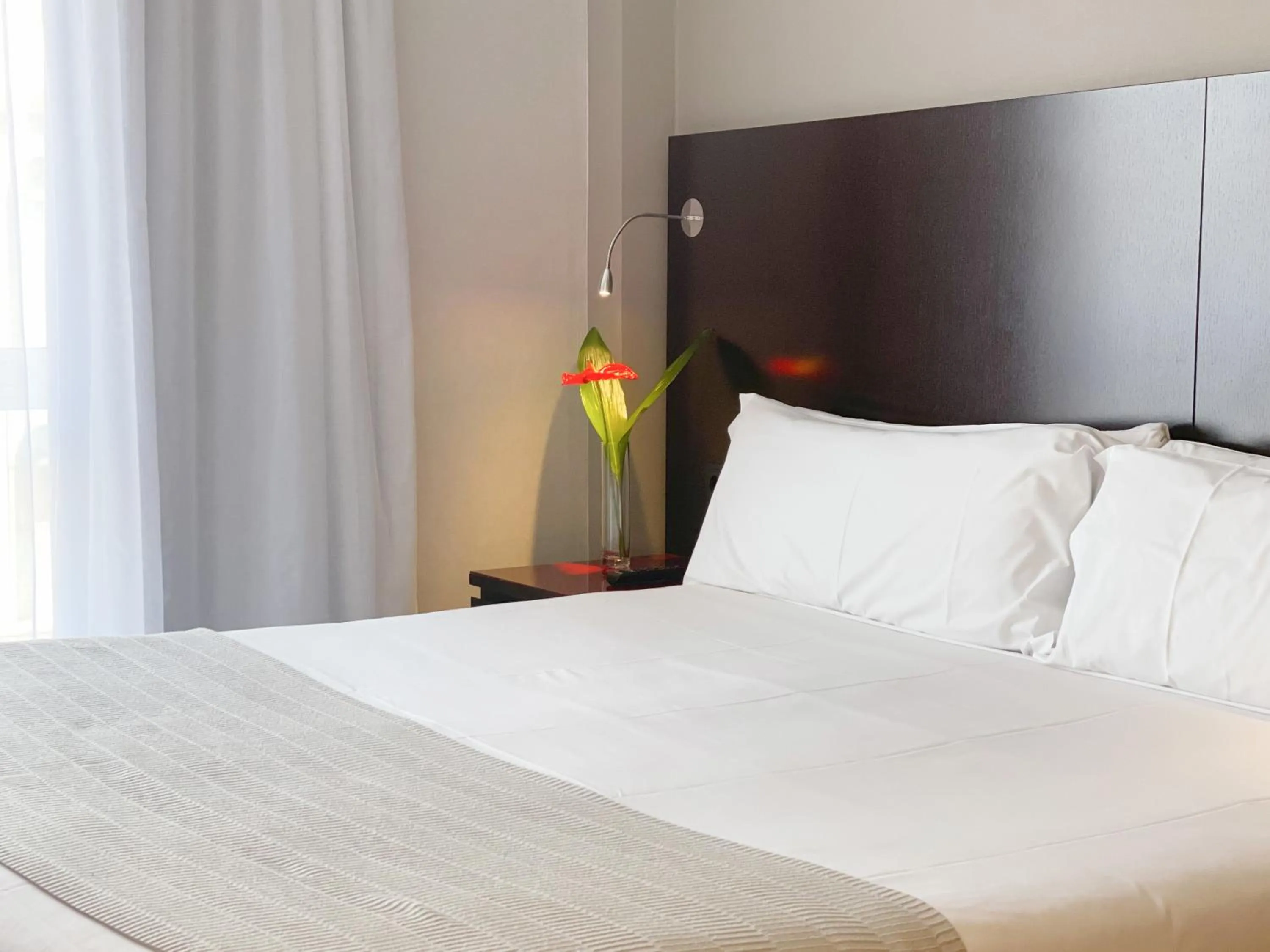 Bed in SM Hotel Sant Antoni