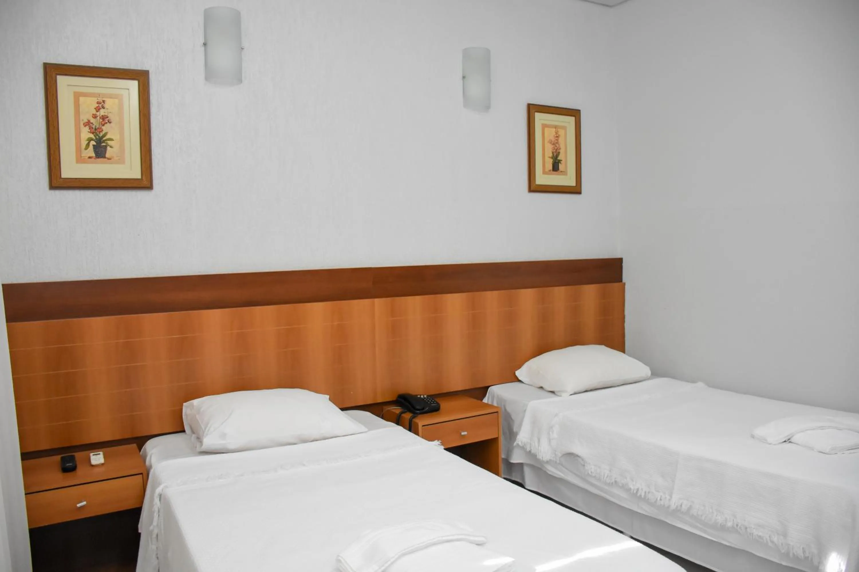 Photo of the whole room in Muffato Plaza Hotel