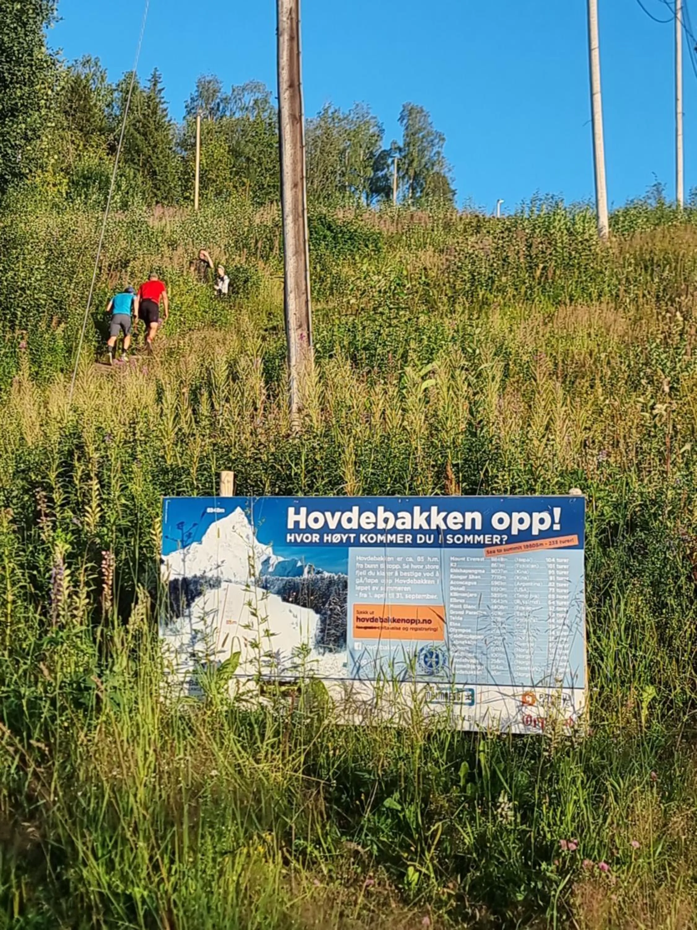 Natural landscape in Gjøvik Hovdetun Hostel