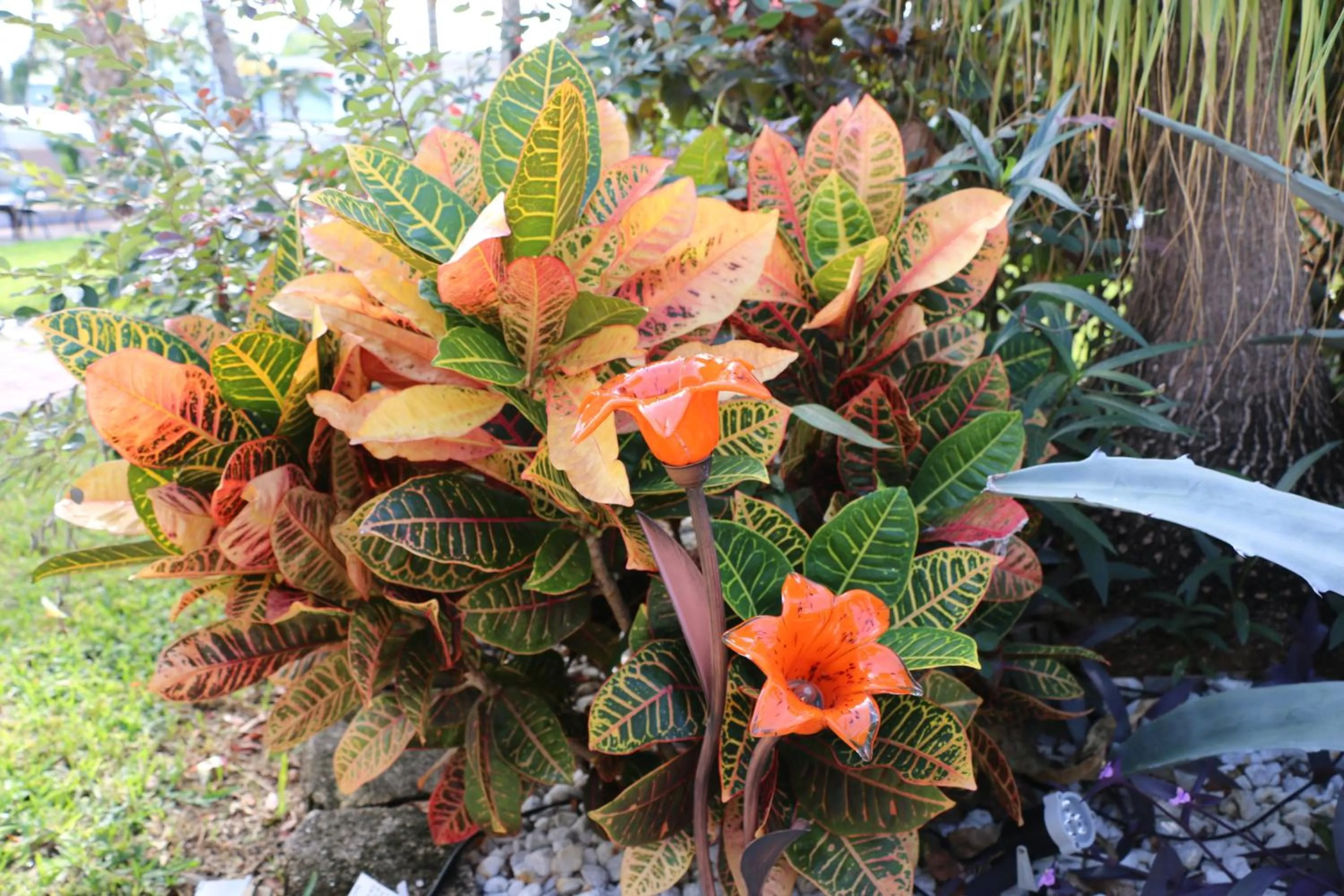 Garden in Breakaway Inn Guest House