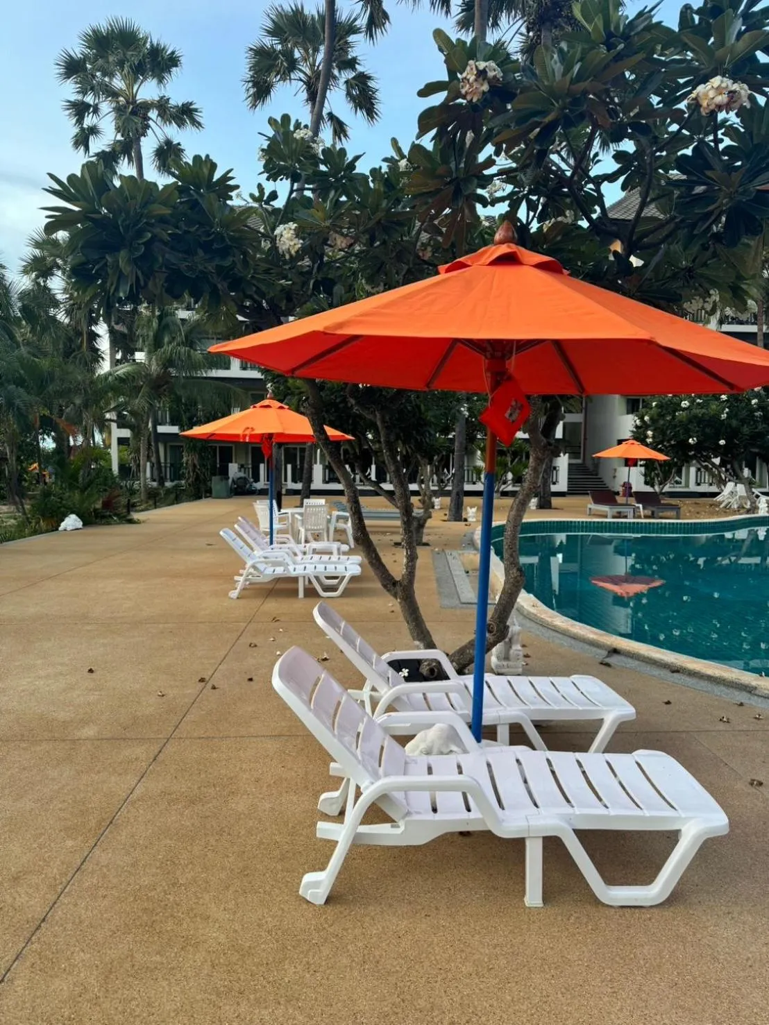 Pool view in Pattawia Resort & Spa, Pranburi