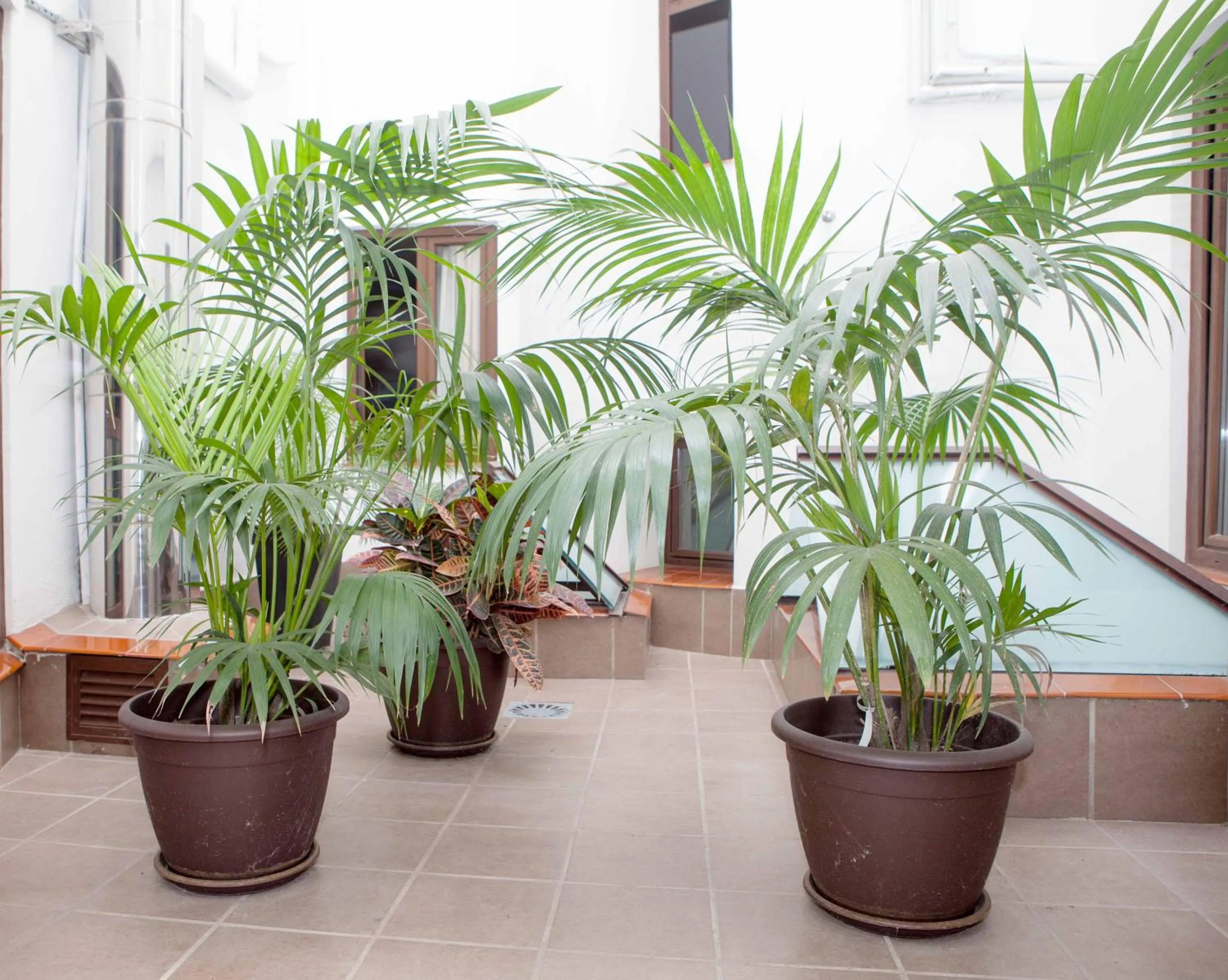 Patio in Castilla Guerrero