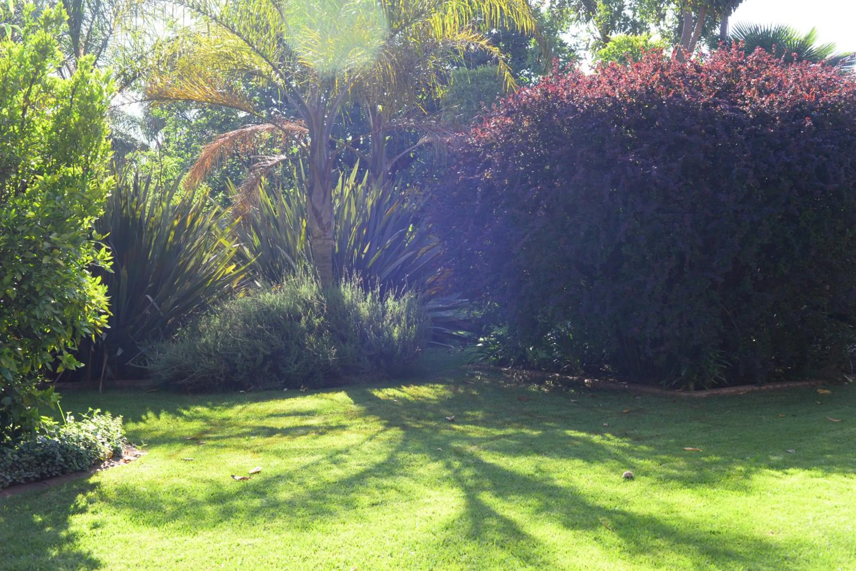 Patio in Avant Garde Lodge