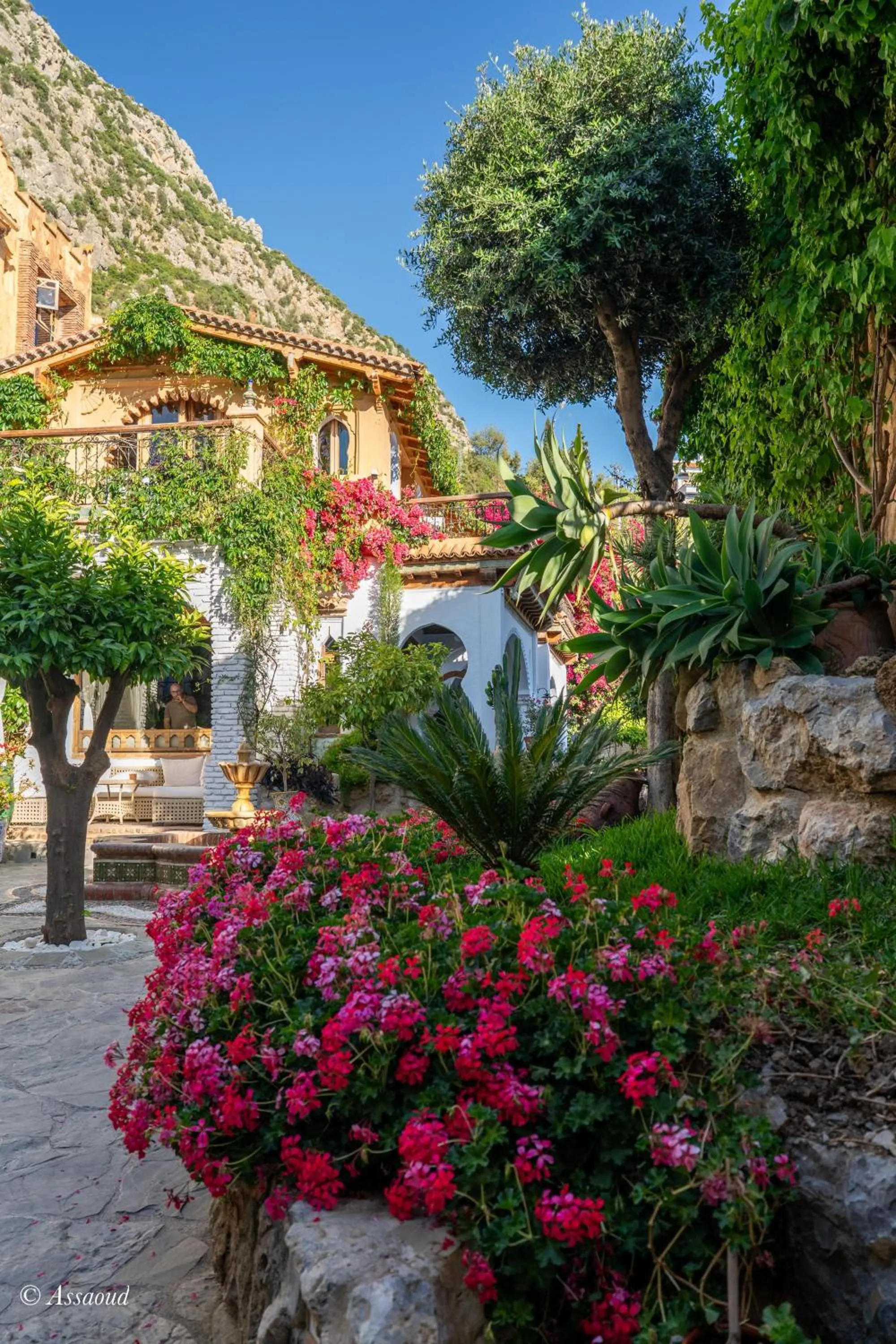 Garden in Dar Echchaouen Maison d'Hôtes & Riad