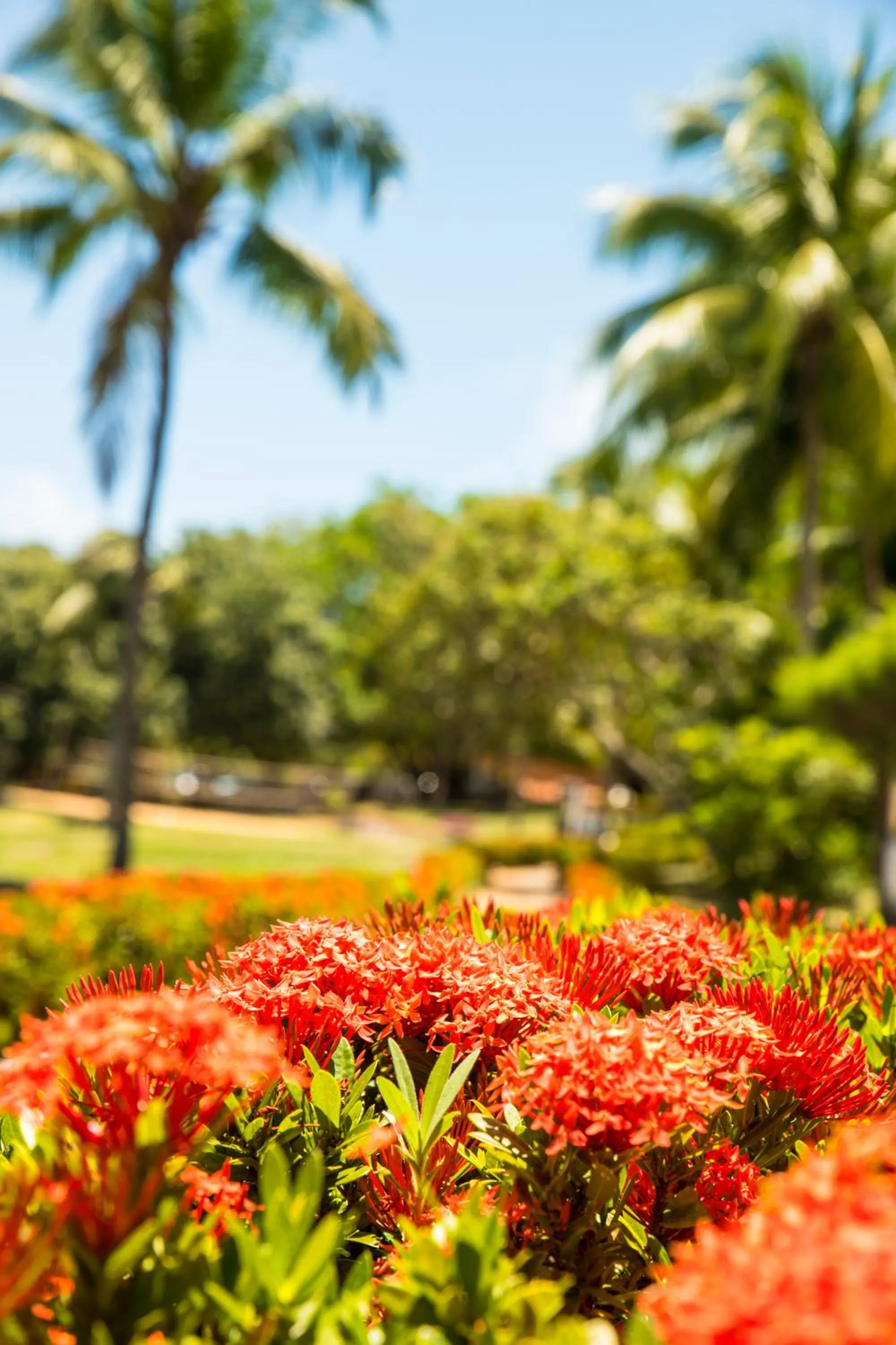 Natural landscape in Hotel Marinas