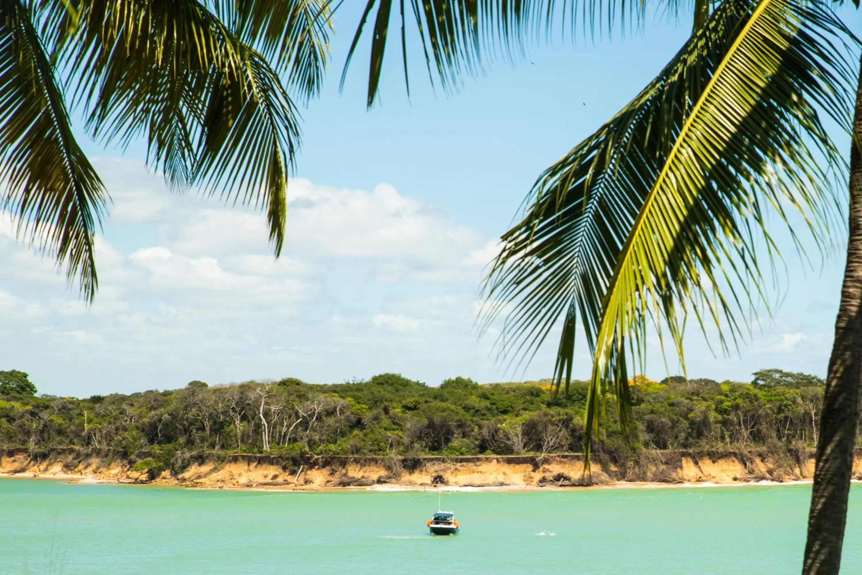 Garden view in Hotel Marinas Garden view in Hotel Marinas