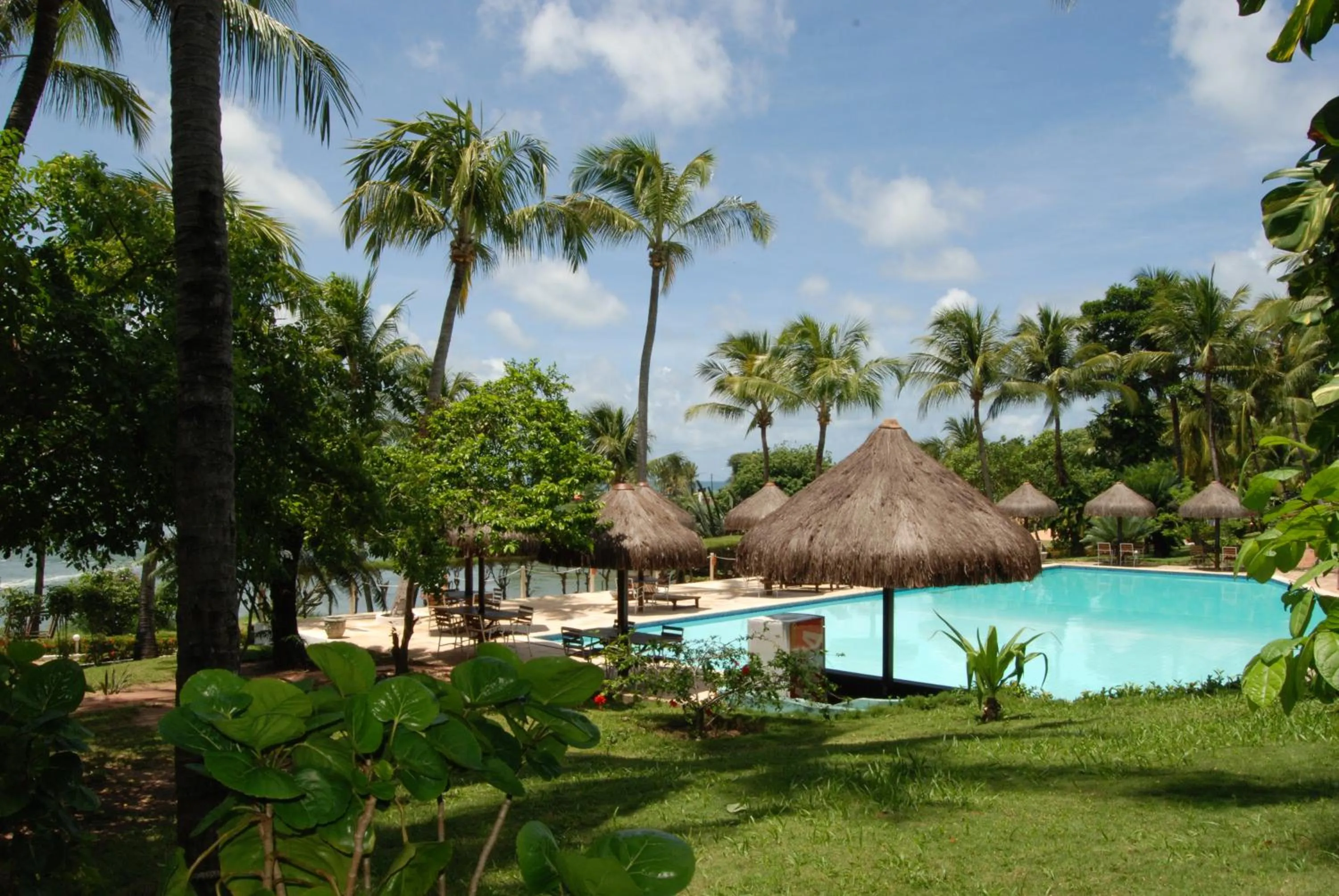 Pool view in Hotel Marinas